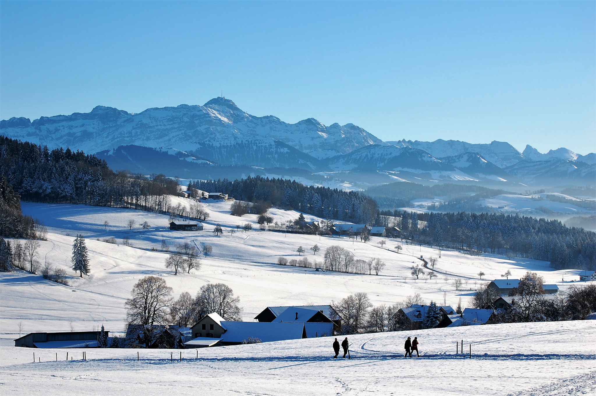 Nikon D40 sample photo. Winter wonderland photography