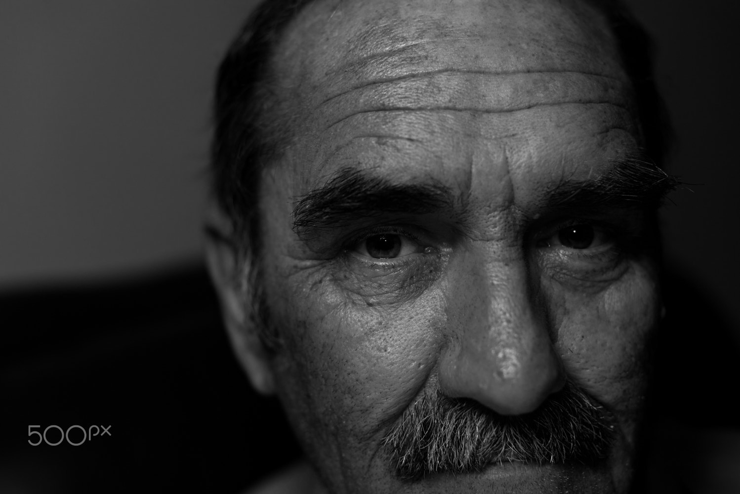 Nikon D810 + Nikon AF-S Nikkor 50mm F1.4G sample photo. The eyes have it. photography
