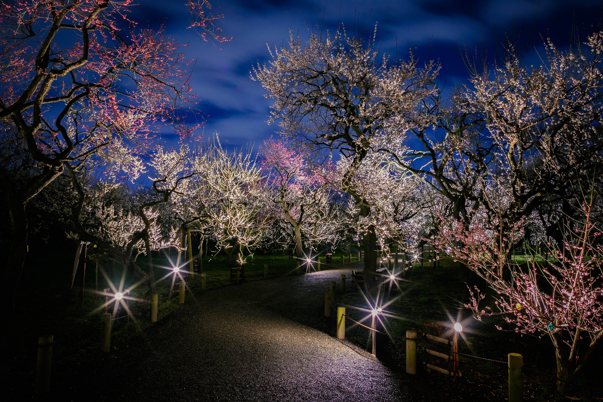 Canon EF 24mm F1.4L II USM sample photo