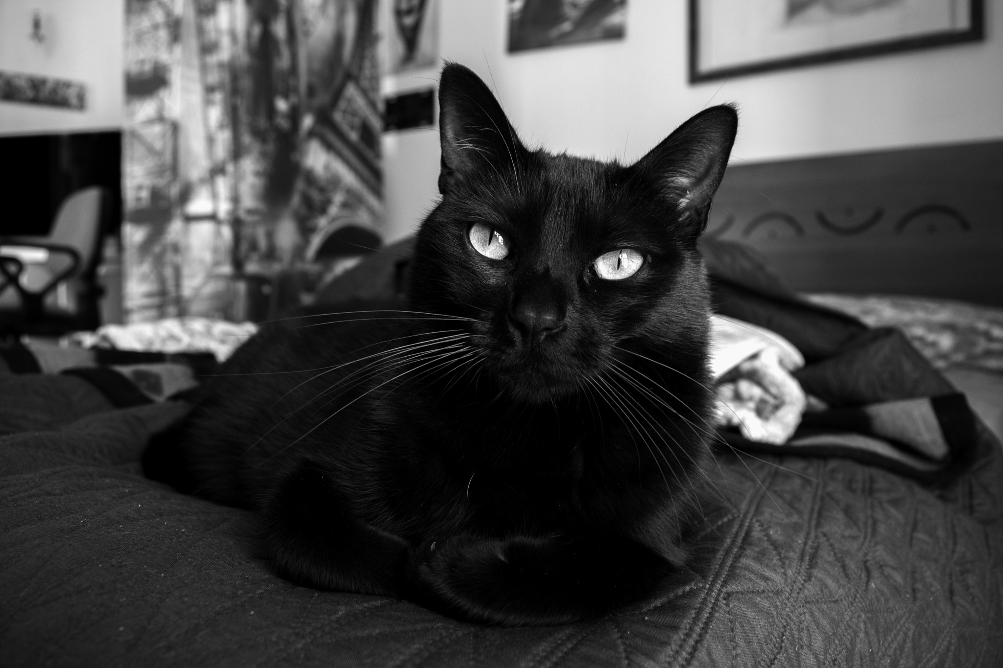 Nikon D7200 sample photo. Mylove photography