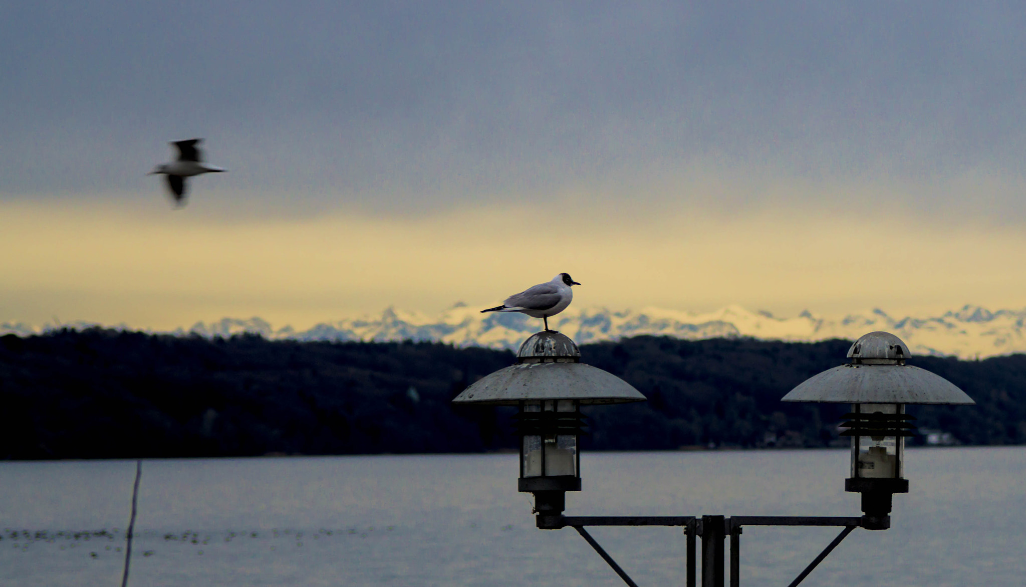 Sony a6000 + Minolta AF 35-105mm F3.5-4.5 sample photo. "ich flieg' schon mal nach Österreich" photography