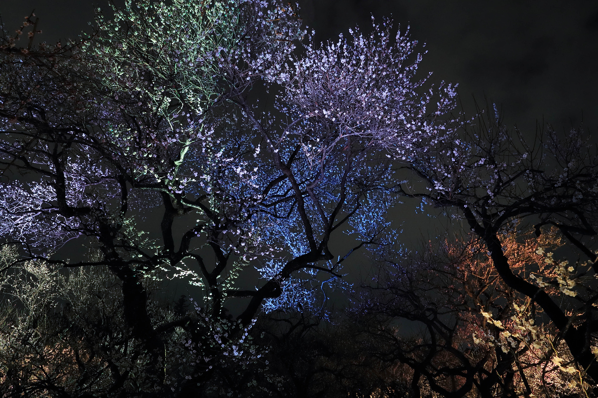 Canon EF 24mm F1.4L II USM sample photo