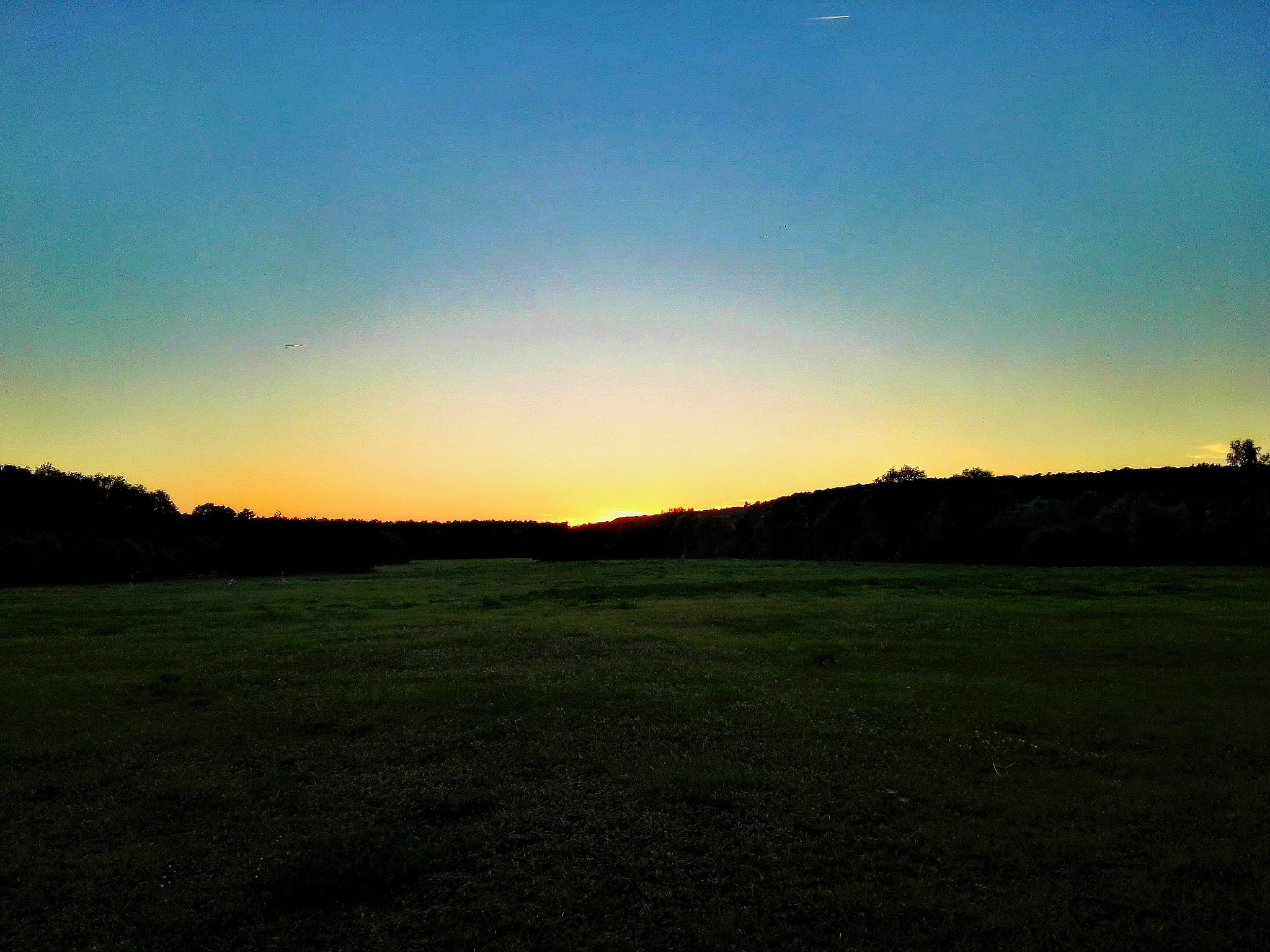 HUAWEI GRA-L09 sample photo. Field photography