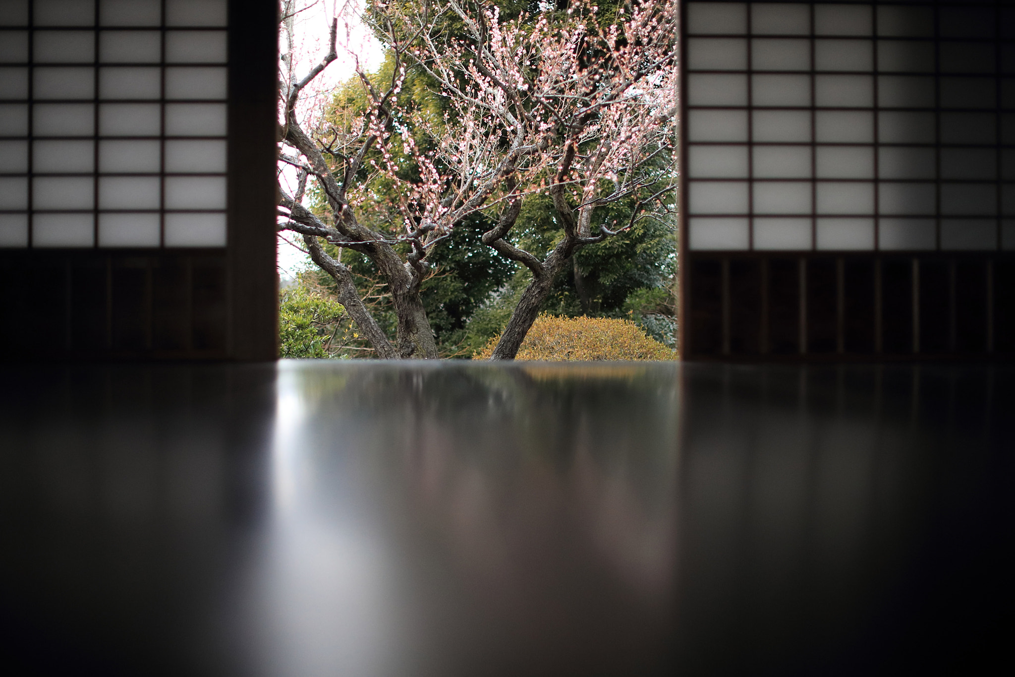 Canon EF 50mm F1.2L USM sample photo