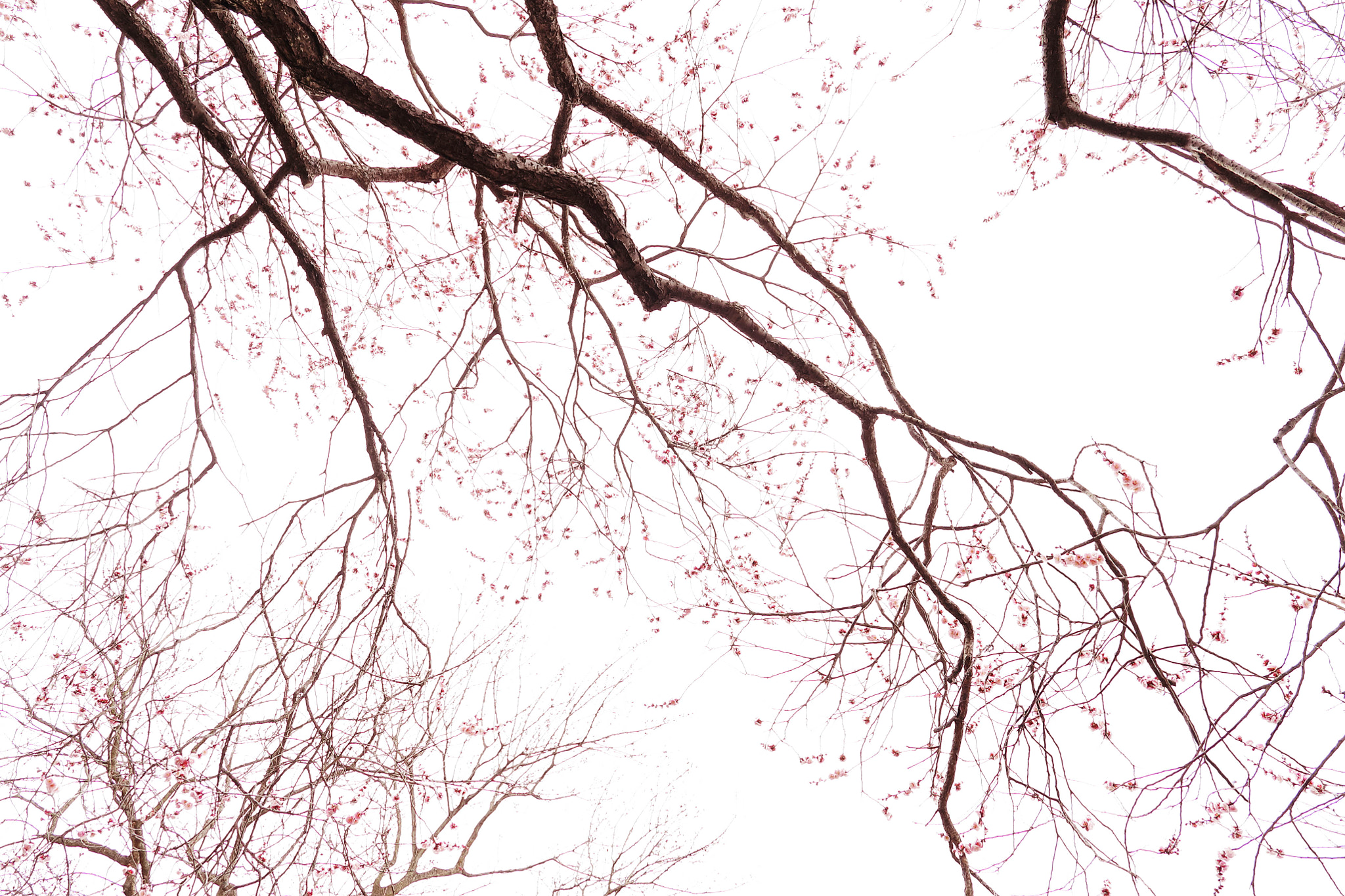 Canon EF 24mm F1.4L II USM sample photo