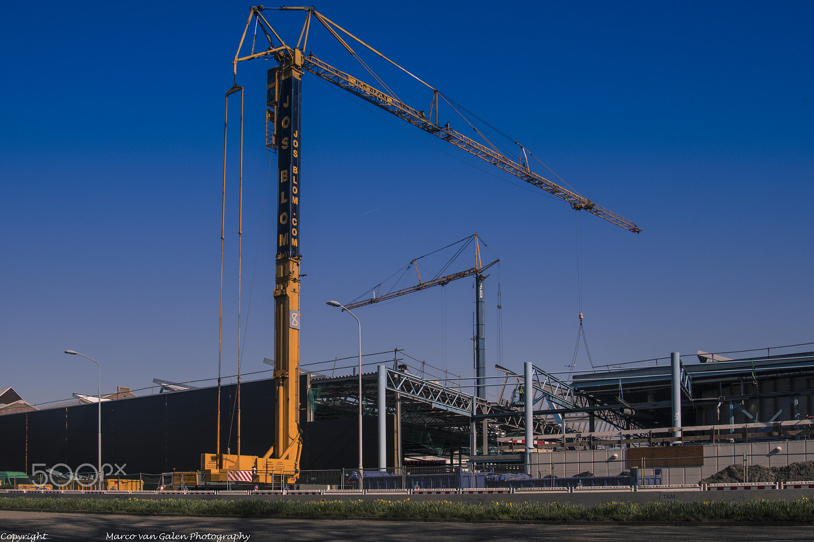 Nikon D500 sample photo. Two cranes at nedtrain photography