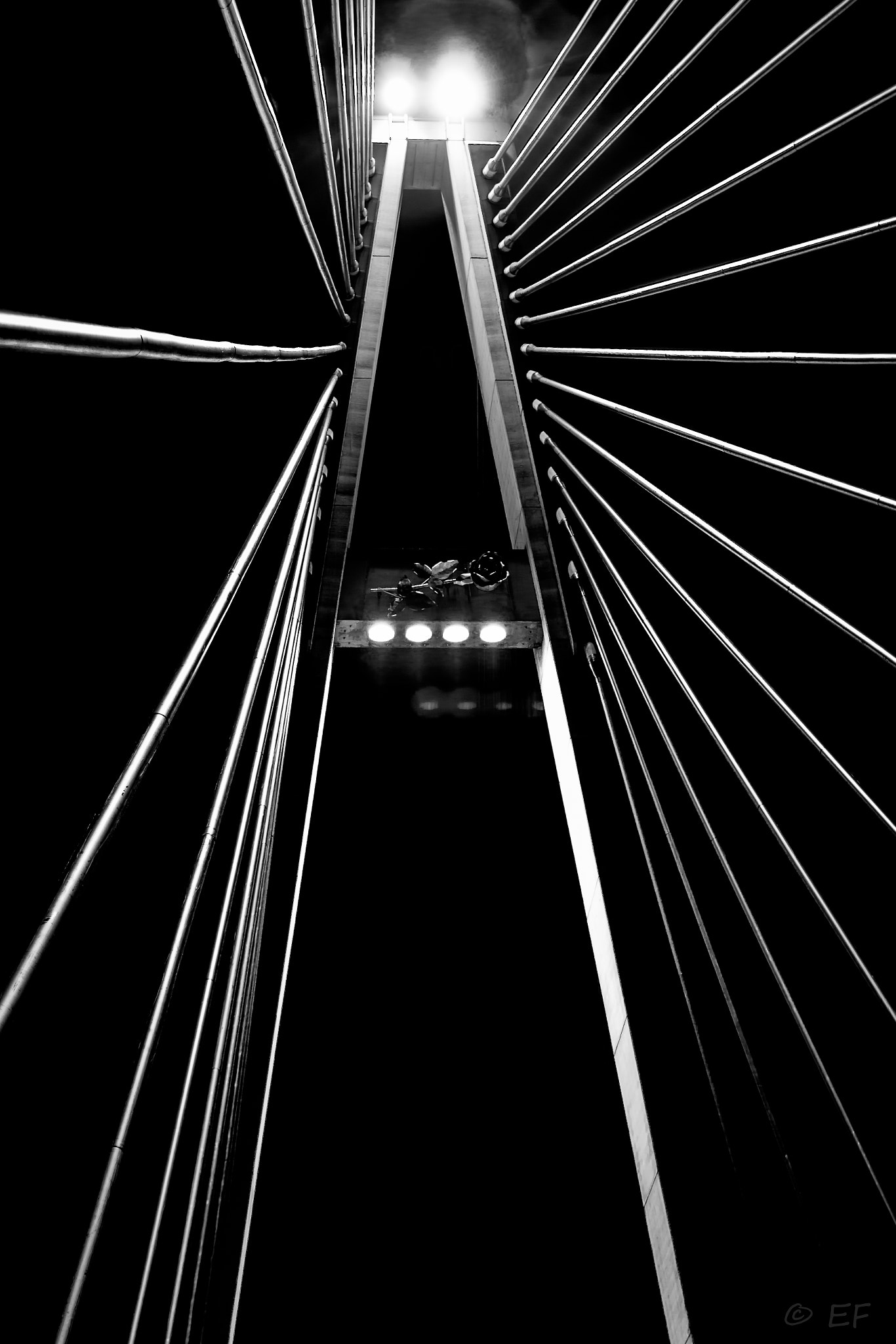 Sigma 50-100mm F1.8 DC HSM Art sample photo. Rosestower photography
