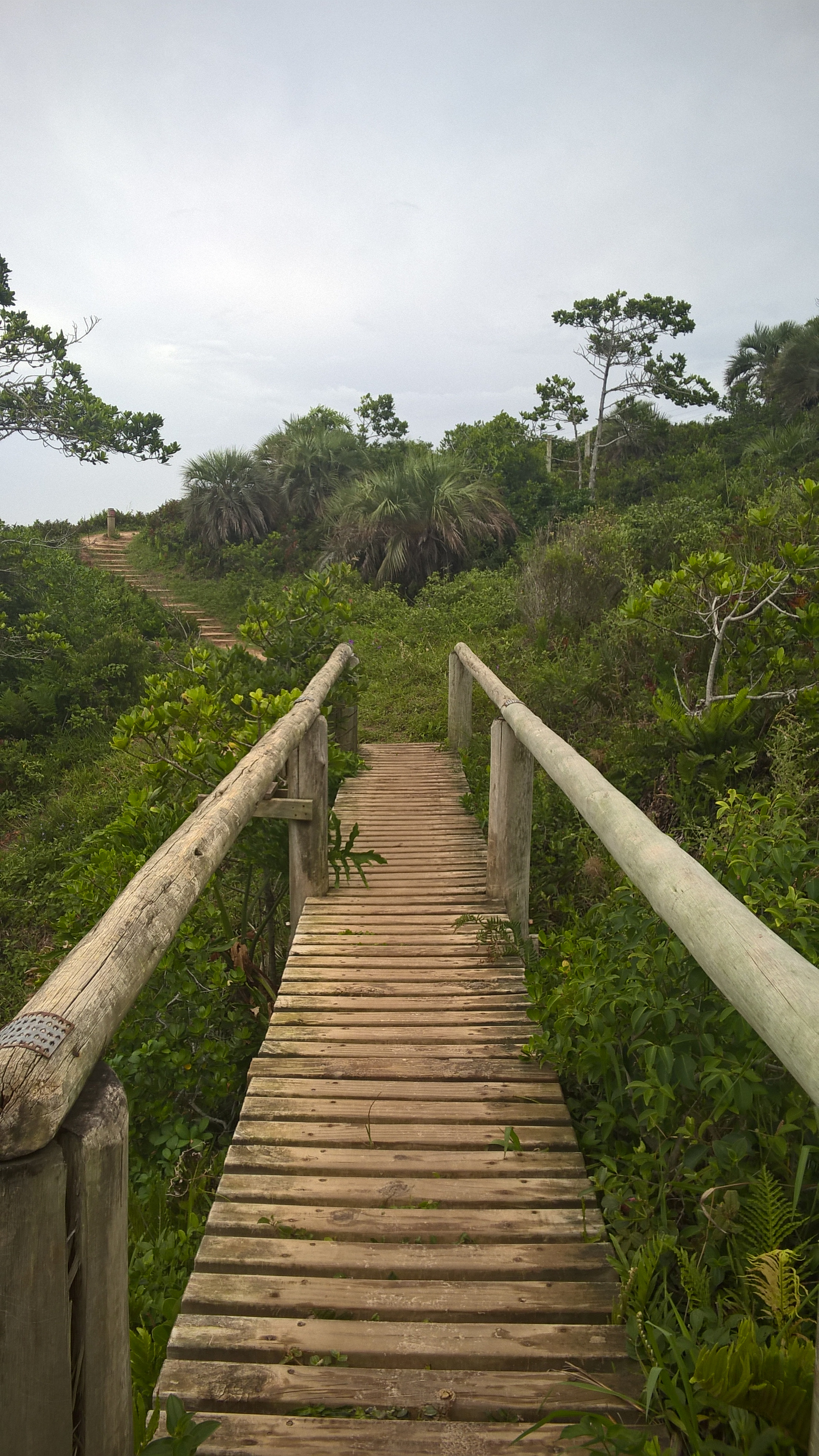 Nokia Lumia 830 sample photo. "pathway" to heaven... photography