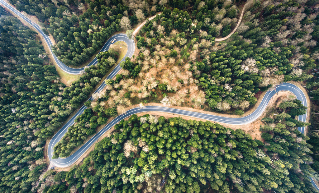 Forest drive by Chris Herzog on 500px.com