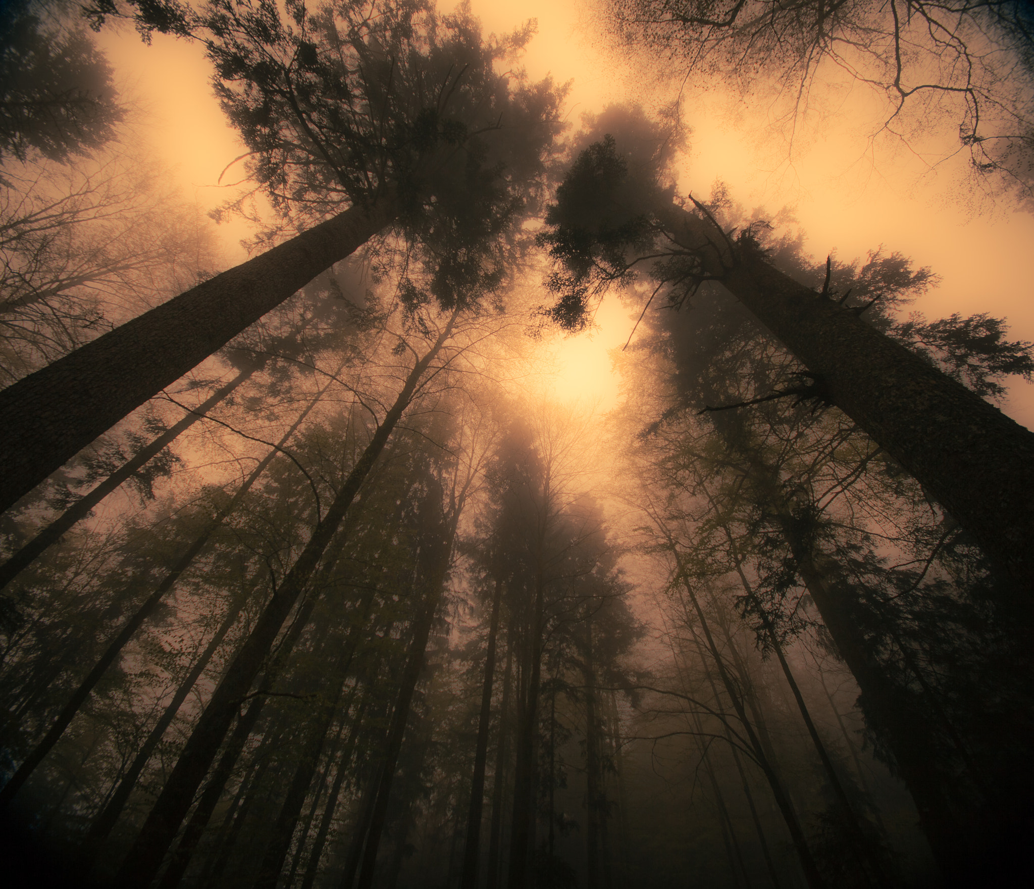 Sigma 10-20mm F4-5.6 EX DC HSM sample photo. Meet the spirits photography