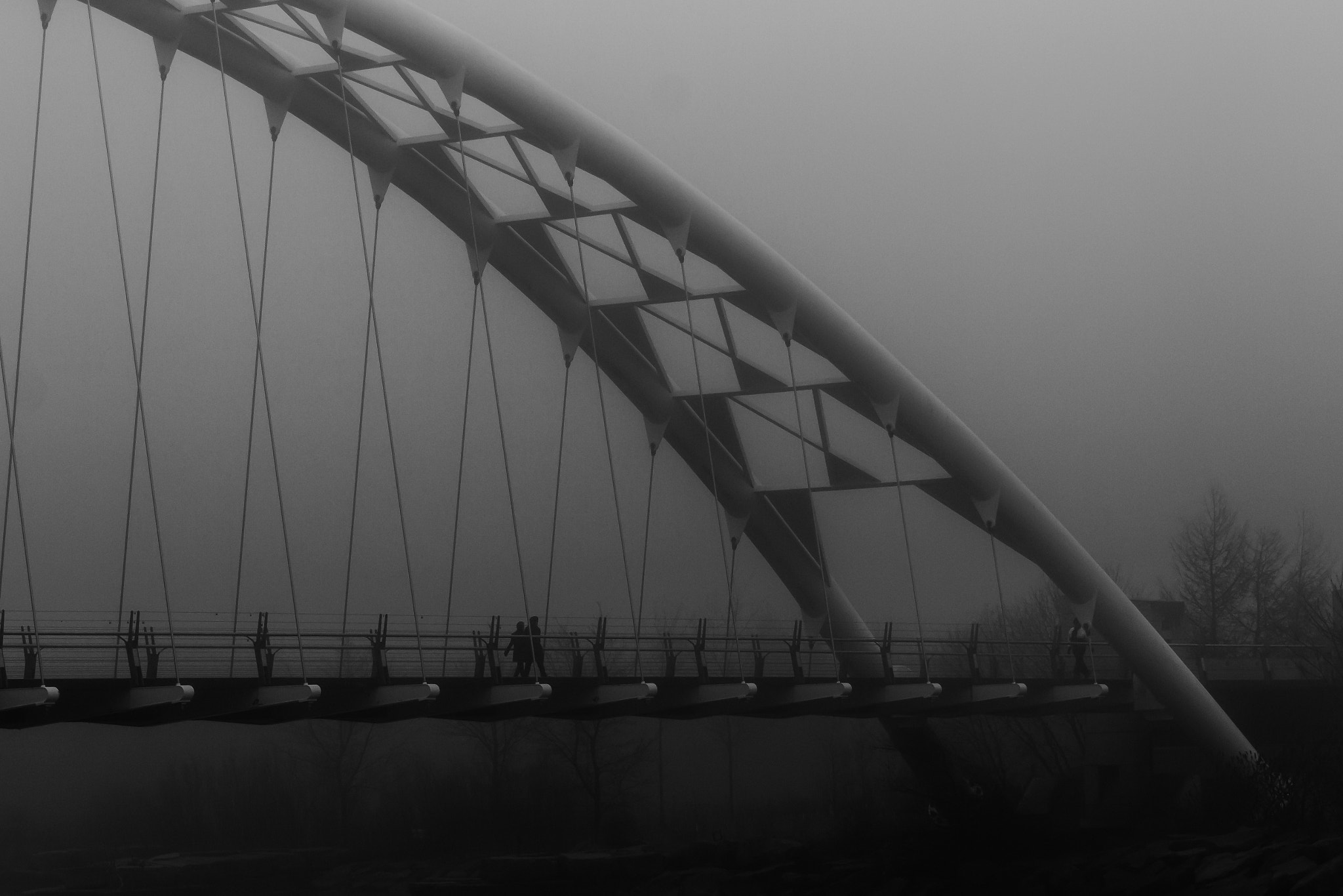 Canon EOS 60D + EF75-300mm f/4-5.6 sample photo. Foggy morning photography