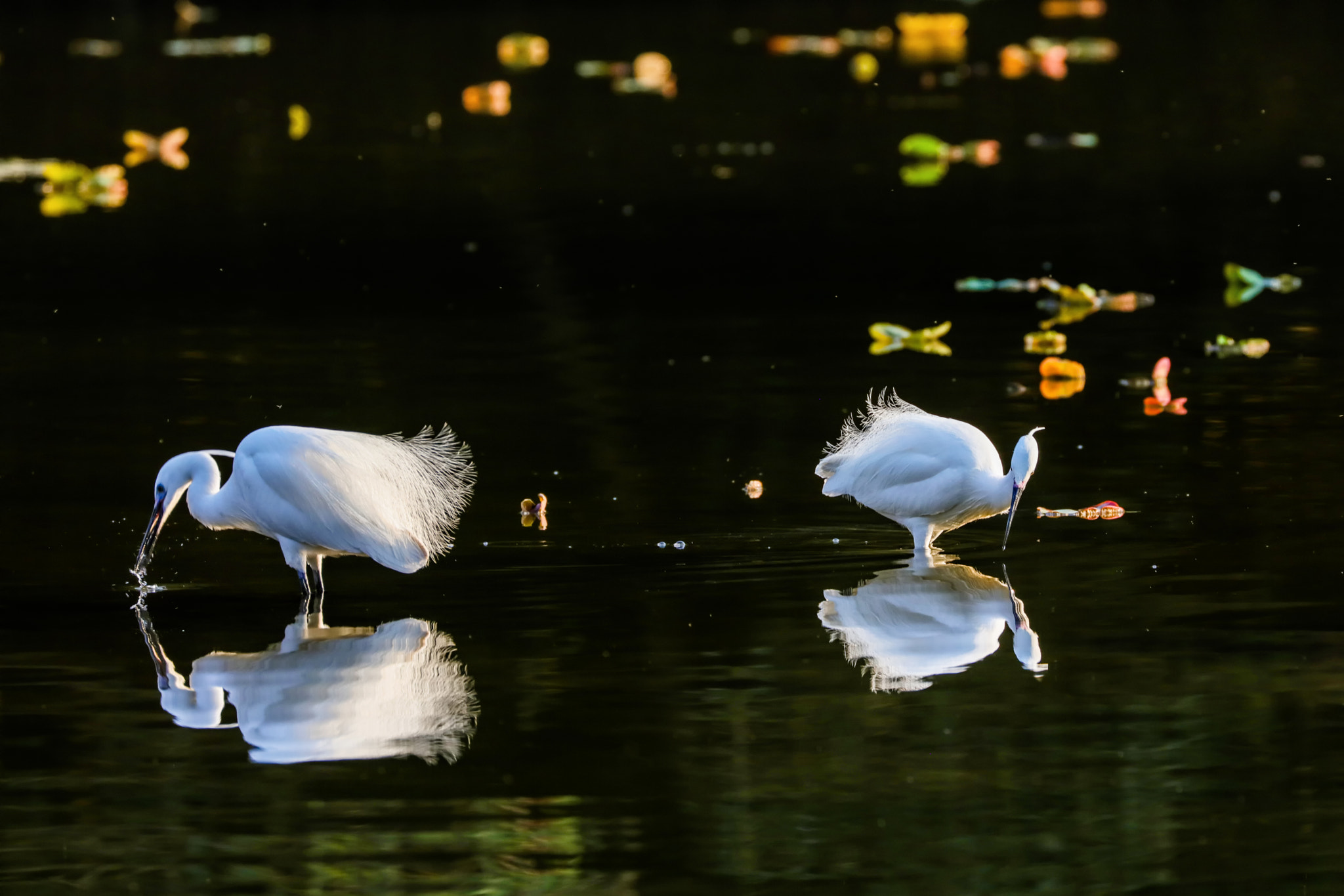 Canon EOS 5DS R sample photo