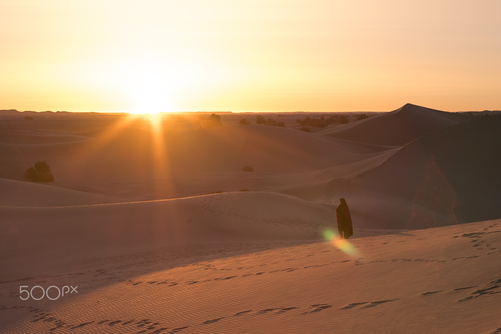 Pentax K-1 + smc PENTAX-F 50mm F1.7 sample photo. Sahara sunrise photography