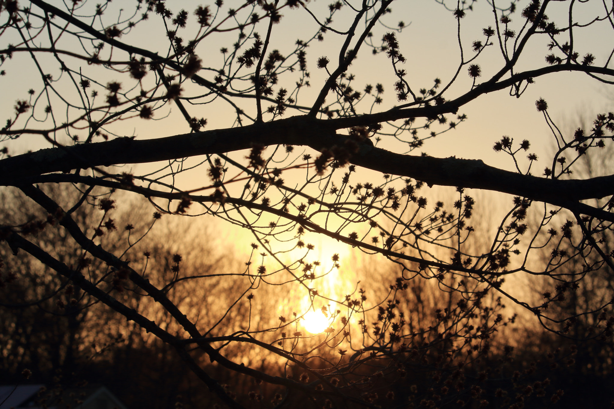 Canon EF-S 55-250mm F4-5.6 IS STM sample photo. We're fading photography