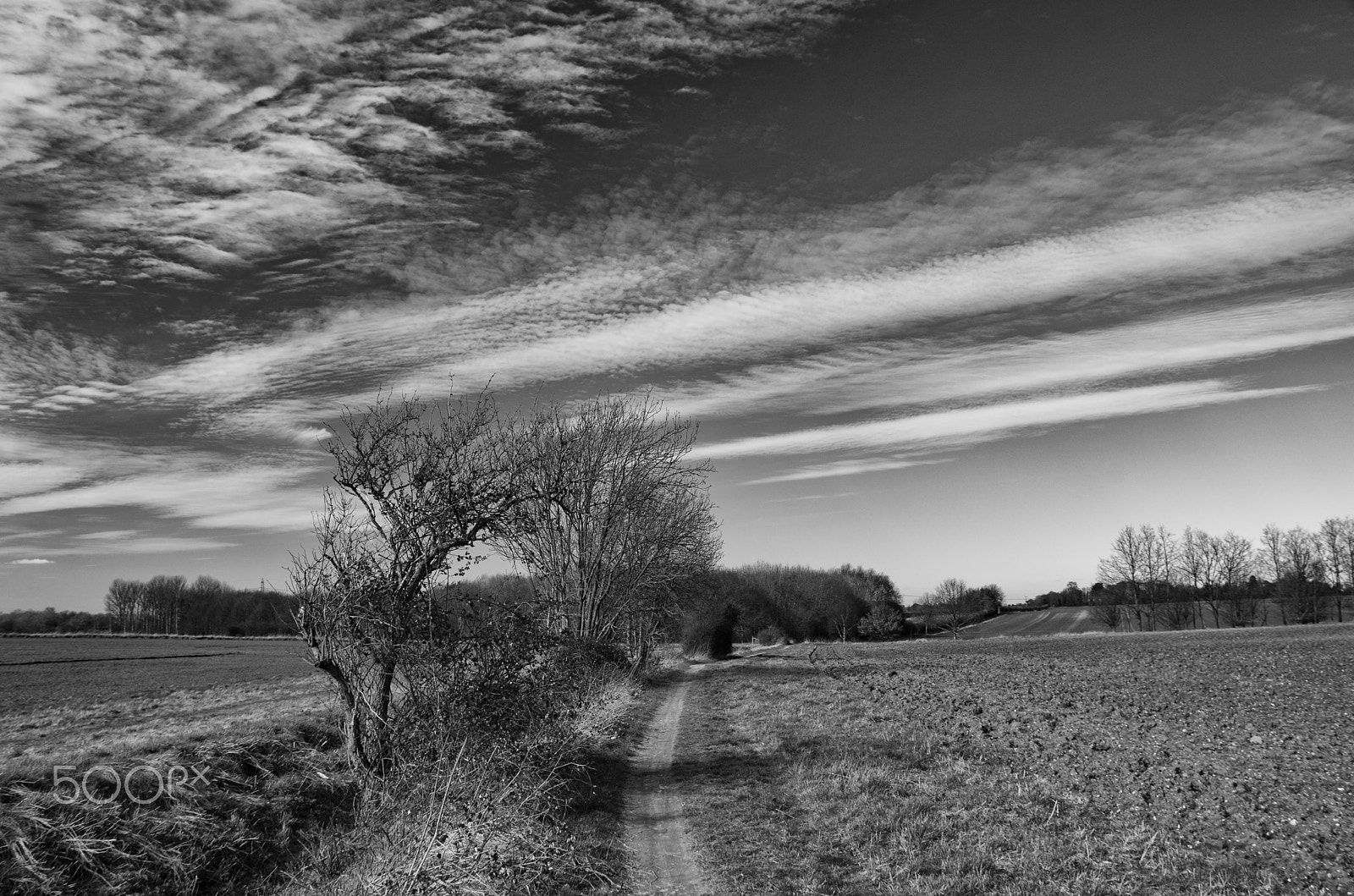 Sigma 17-70mm F2.8-4 DC Macro OS HSM sample photo. Hertfordshire skies photography