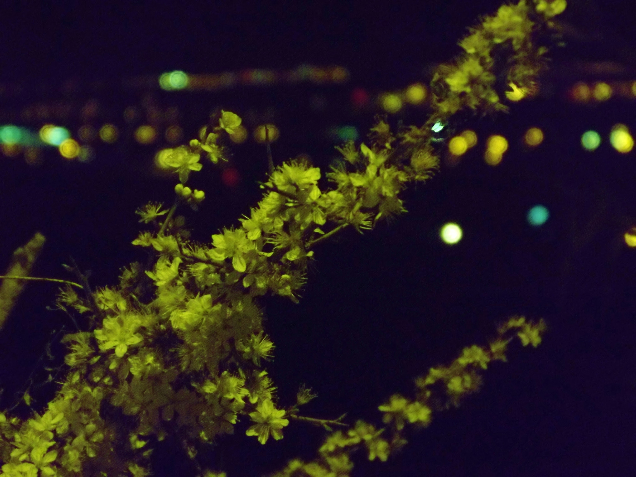 Fujifilm FinePix S3280 sample photo. At night... photography
