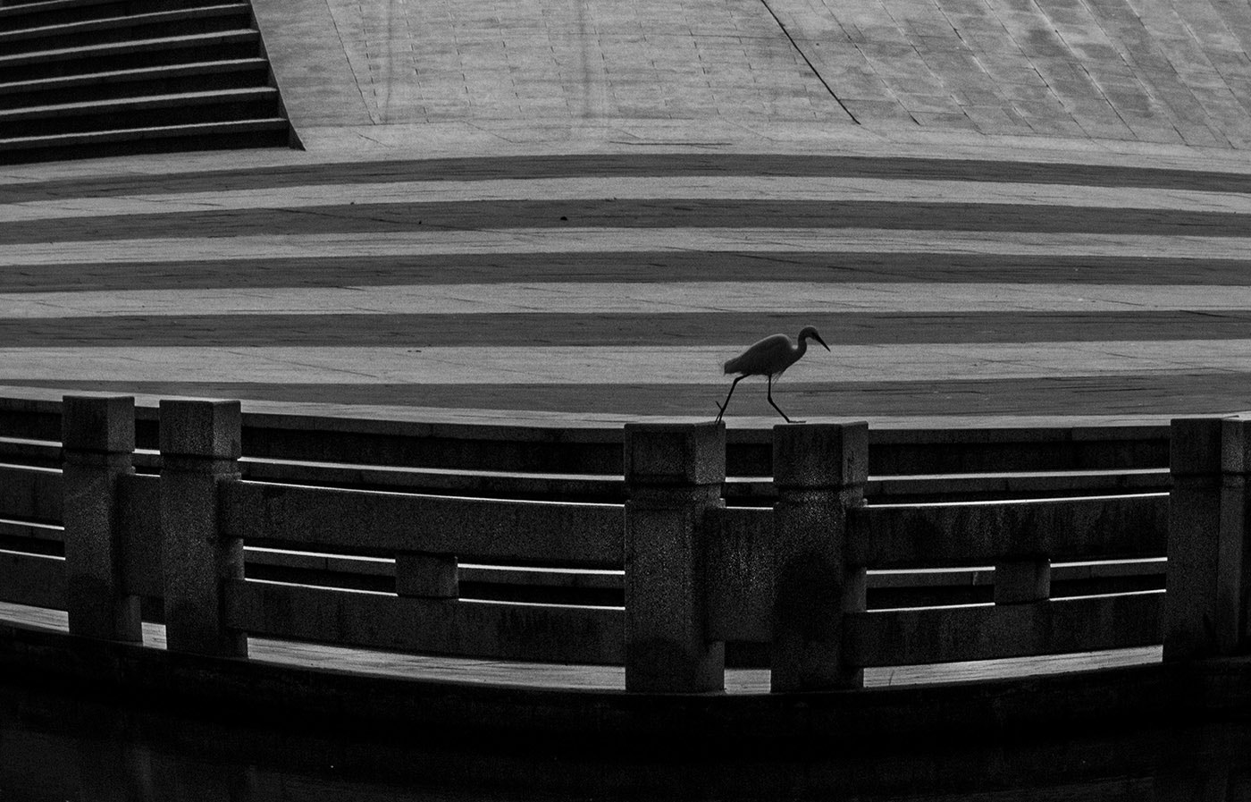 Sigma 18-200mm f/3.5-6.3 DC OS sample photo. Untitled photography