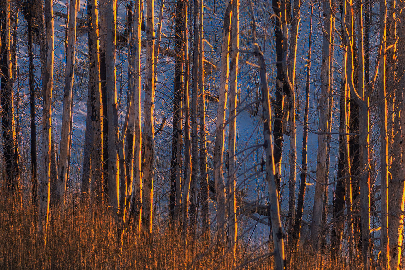 Nikon AF-S Nikkor 70-200mm F4G ED VR sample photo. Jemez sunset photography