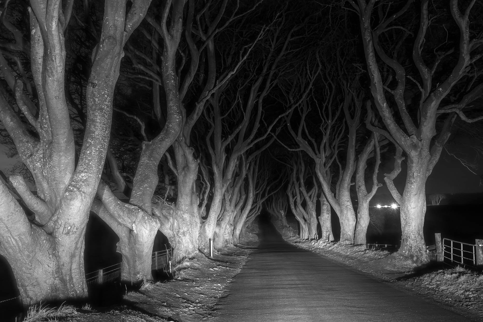Canon EF 17-40mm F4L USM sample photo. Darkhedgesnight photography