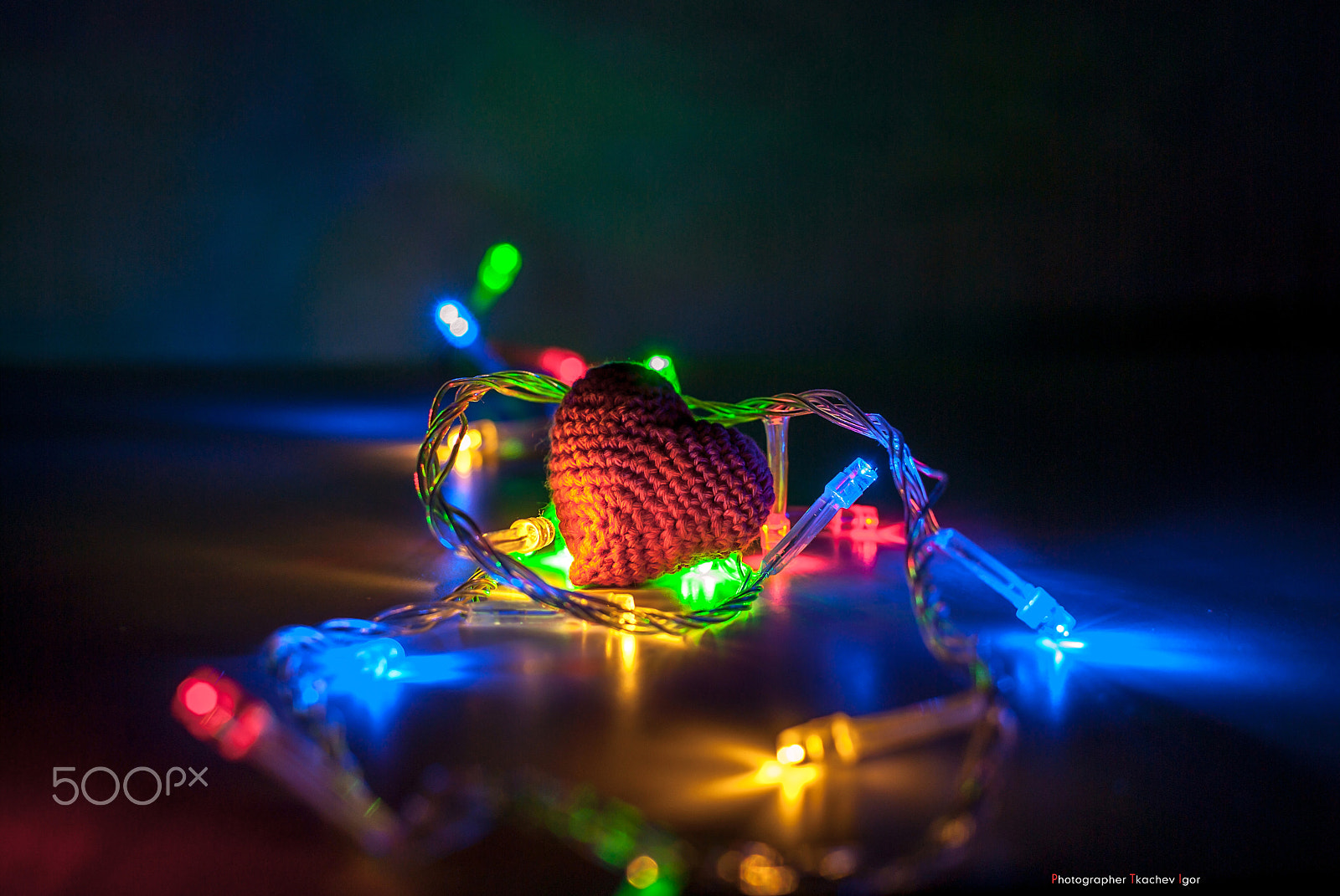 Nikon D200 sample photo. Macro photography