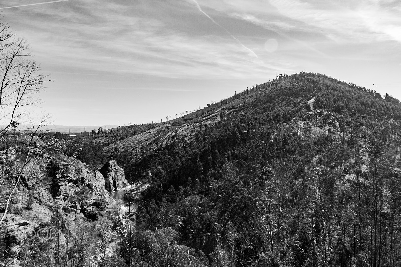 Canon EOS 40D sample photo. Serra de santa justa, valongo photography