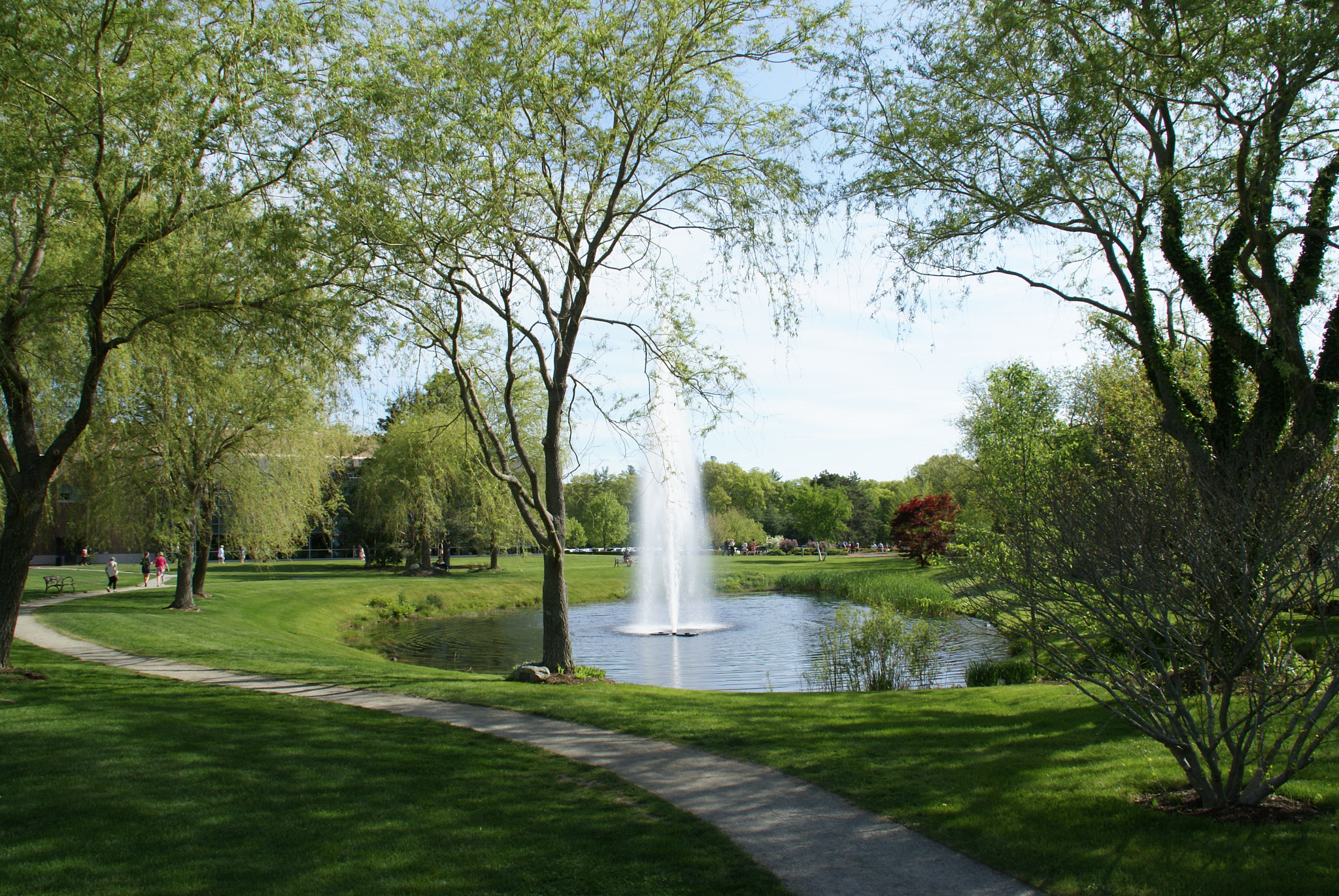 Sony DT 18-200mm F3.5-6.3 sample photo. Water fountain in the pond photography