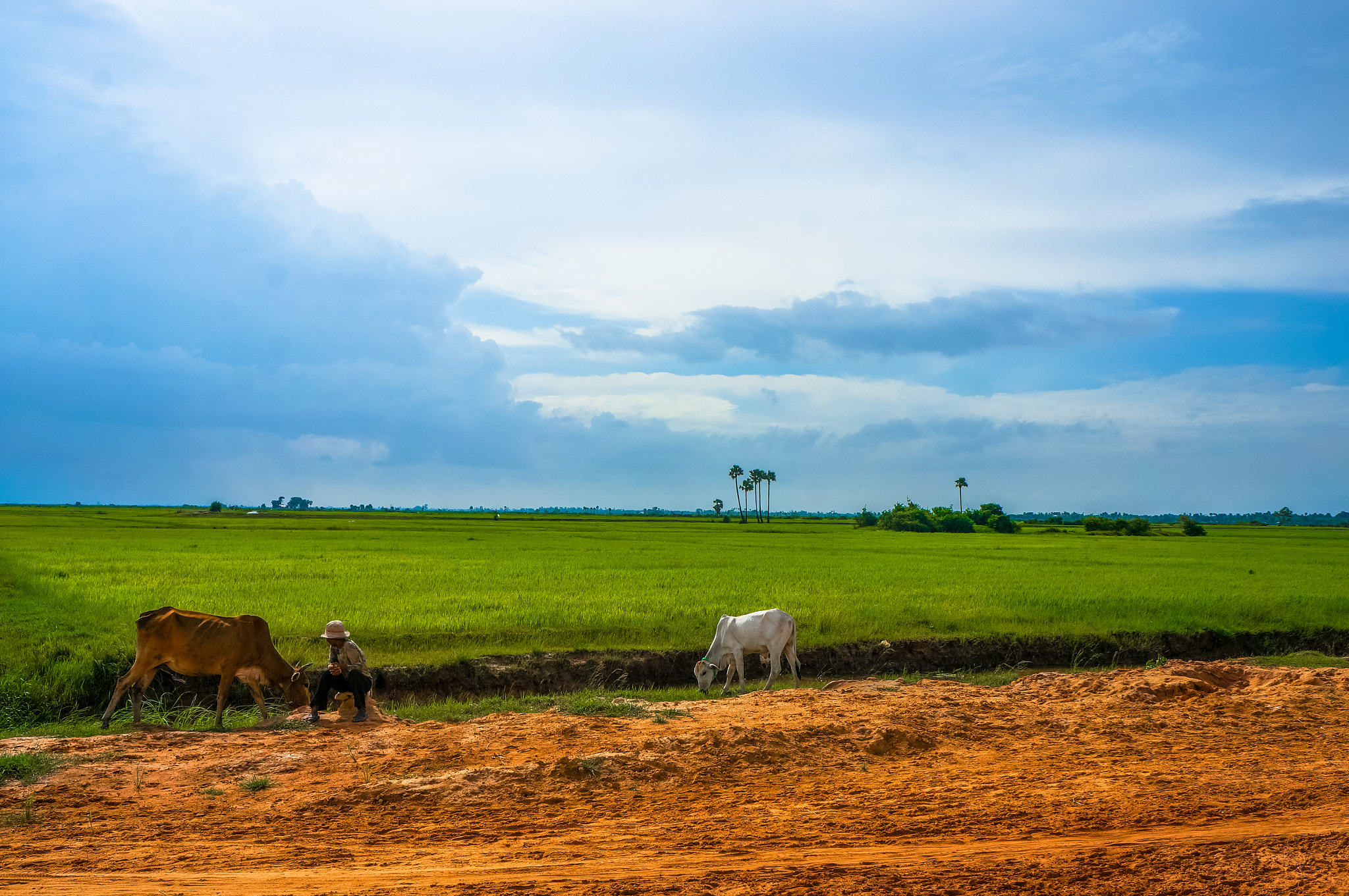 Sony Alpha NEX-5R + Sony E 18-55mm F3.5-5.6 OSS sample photo. Cambodia photography