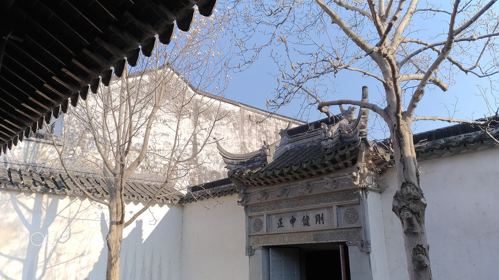 ASUS ZenFone 3 (ZE552KL) sample photo. In a yard on a sunny day photography