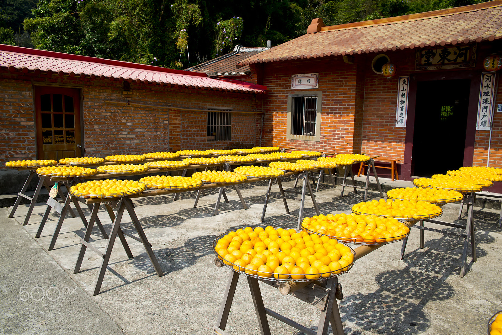 Nikon D800 sample photo. Persimmon cake photography