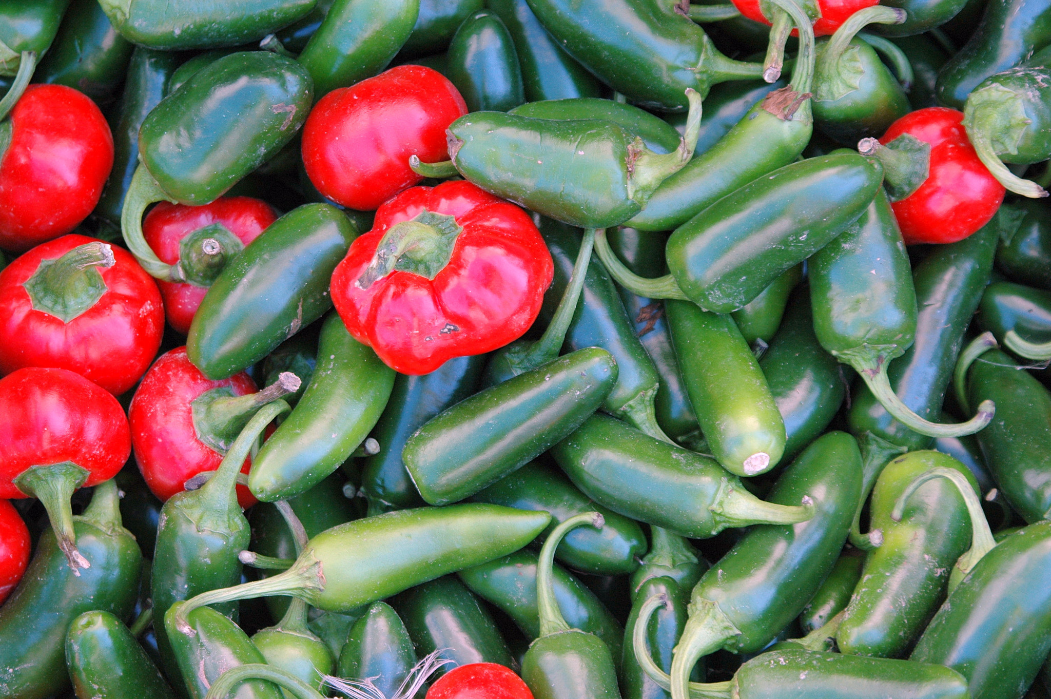 Nikon D70 sample photo. Hot peppers. photography