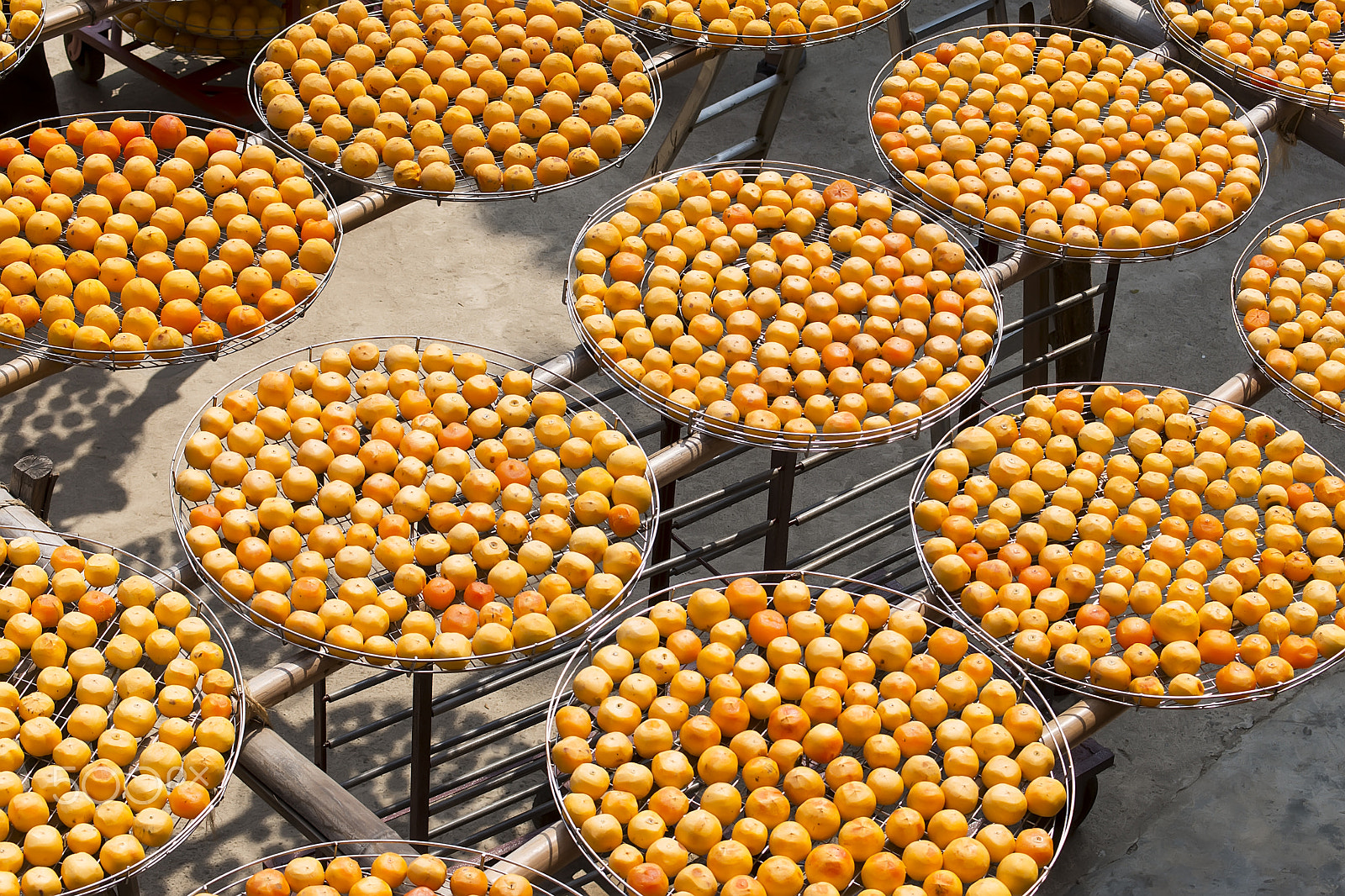 Nikon D800 + Sigma 50-150mm F2.8 EX APO DC HSM sample photo. Persimmon cake photography