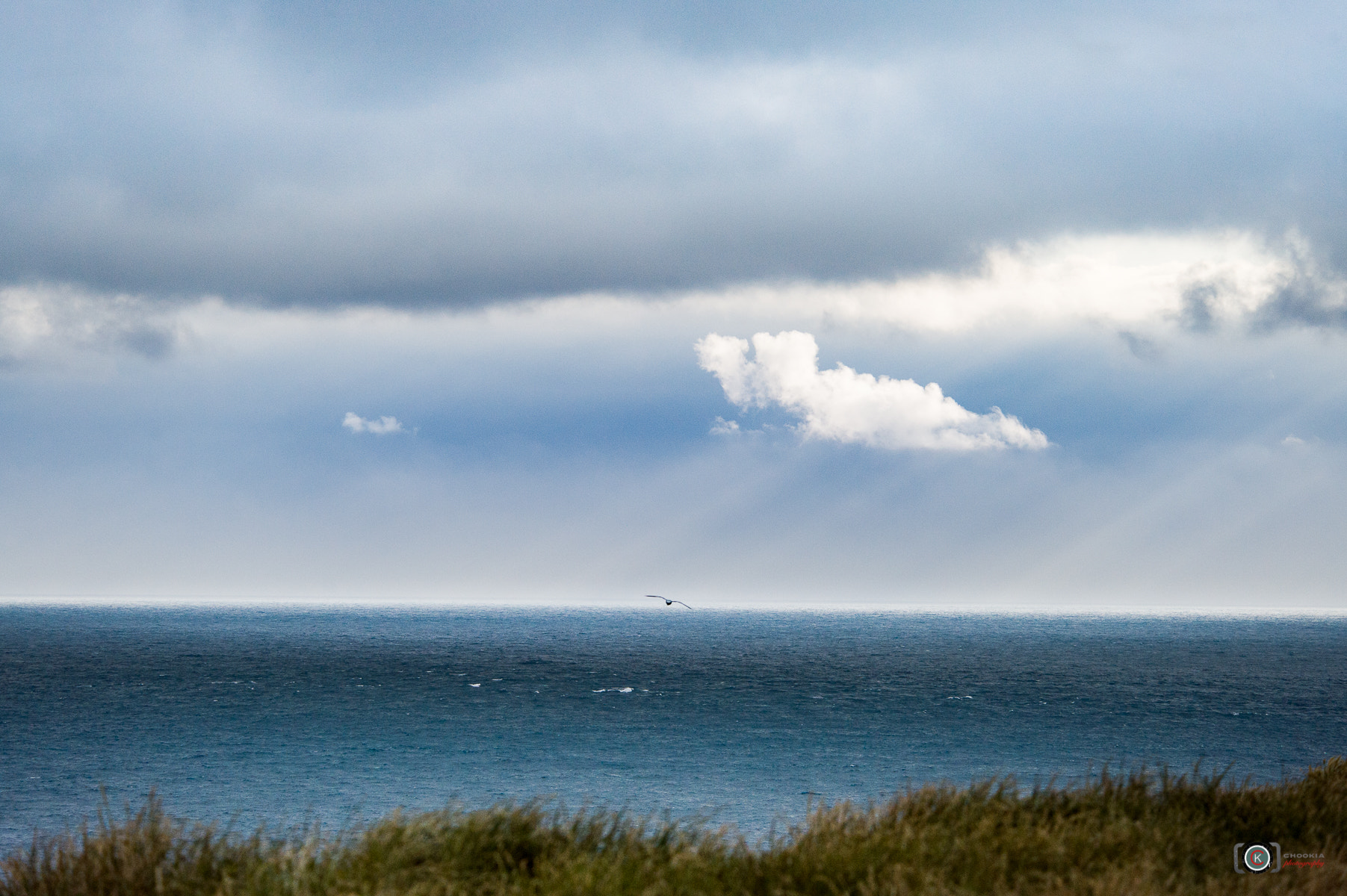 Nikon D4 sample photo. 海阔天空 heaven ii phillips island - australia photography