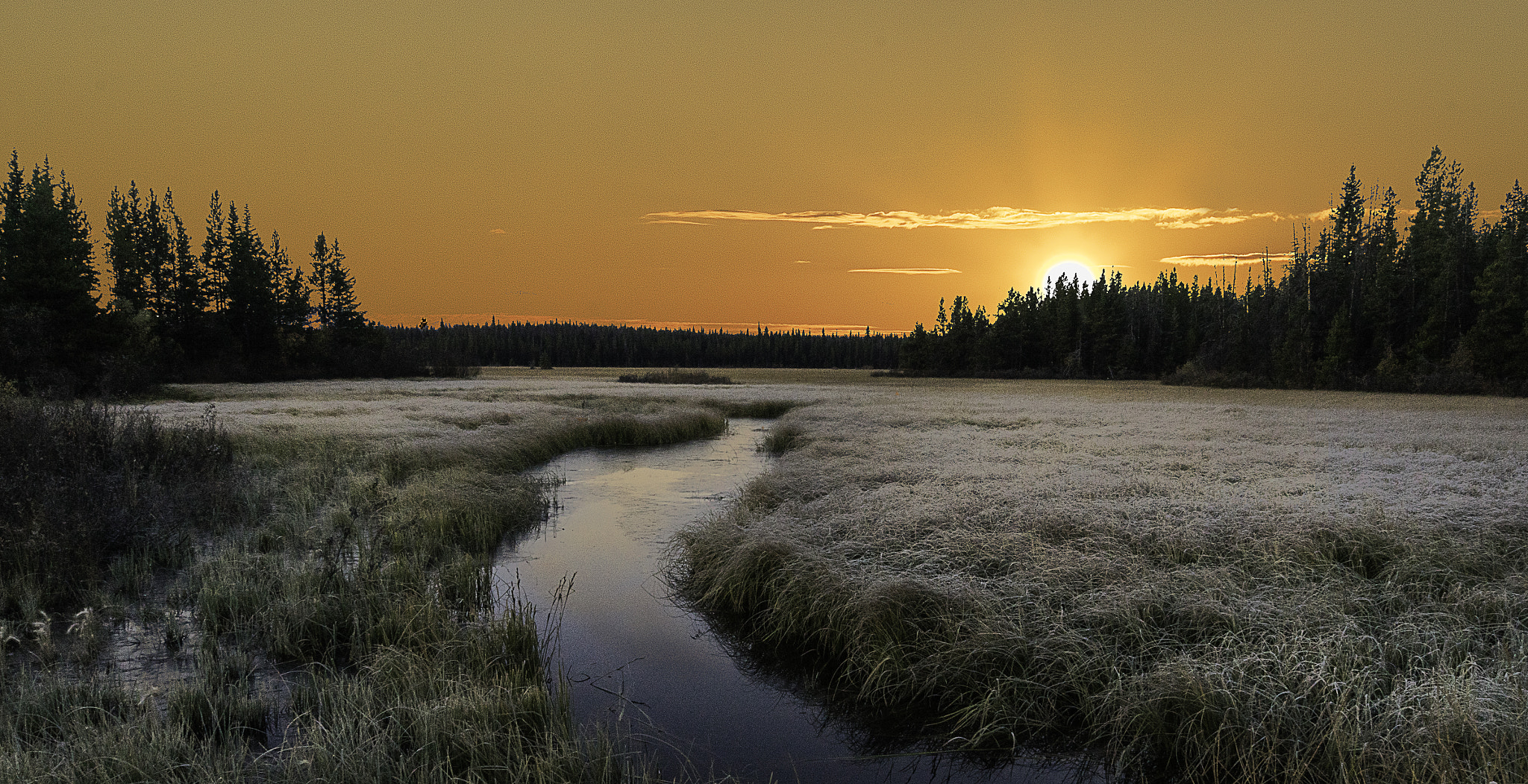 Sony a7R sample photo. Chilcotin sunrise photography