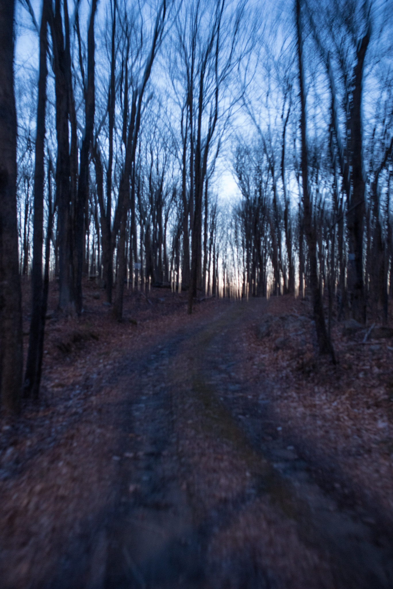 Pentax K-1 sample photo. No one knows where the road may lead photography