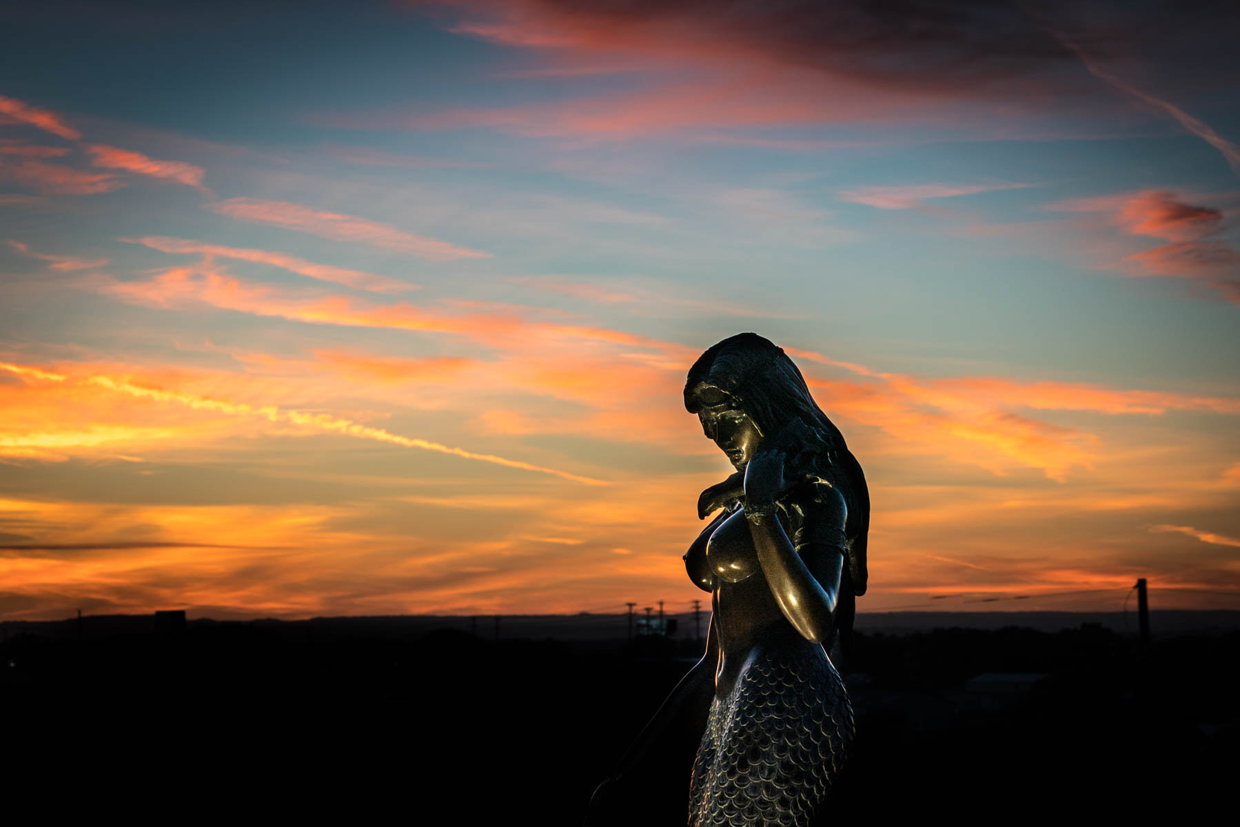 Sony a7R II + Sony FE 70-200mm F4 G OSS sample photo. Dsc photography