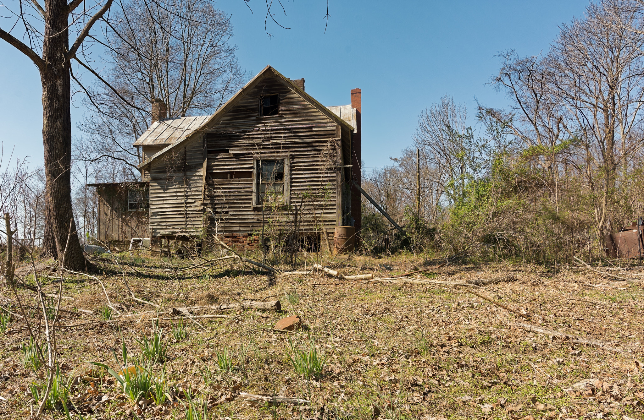 Nikon D810 + Nikon AF-S Nikkor 20mm F1.8G ED sample photo. Jerrysummerspropertygibsonvillenc-03-09-2017-05 photography