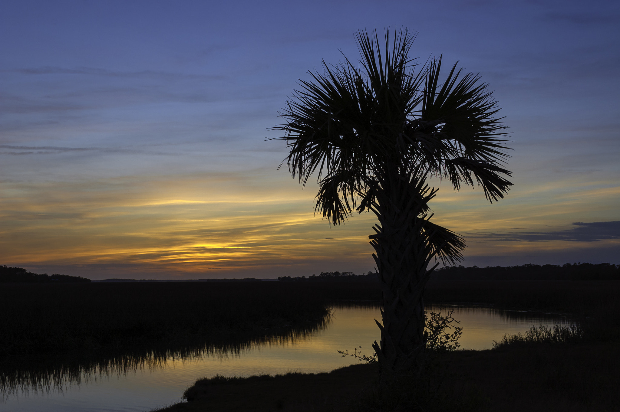 Nikon D40 sample photo. Jarvis photography