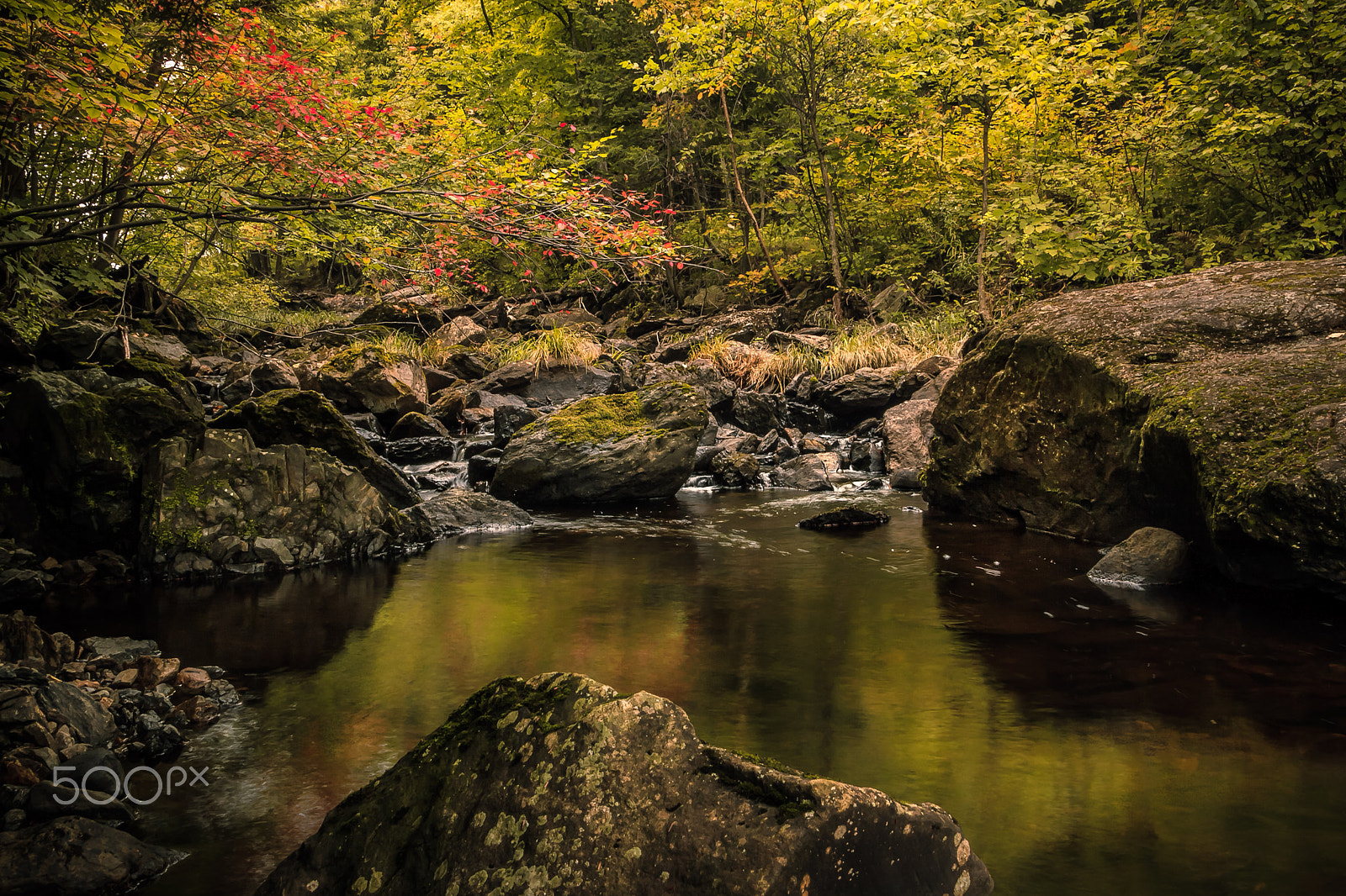 Canon EF-S 17-85mm F4-5.6 IS USM sample photo. Cherry river photography