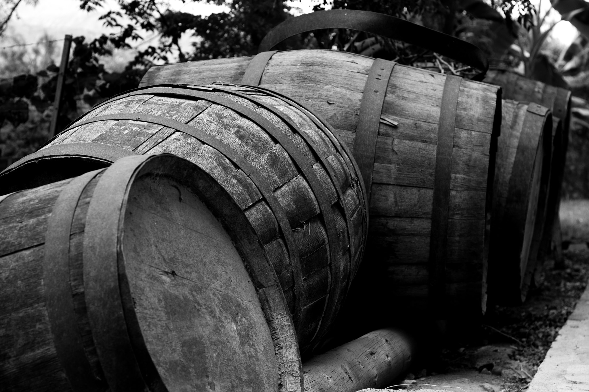 Canon EOS 1100D (EOS Rebel T3 / EOS Kiss X50) sample photo. Barrels photography