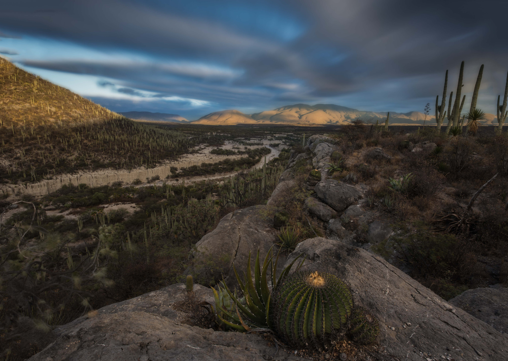 Nikon AF-S Nikkor 17-35mm F2.8D ED-IF sample photo. Cactus forest, zapotitlan salinas, puebla photography