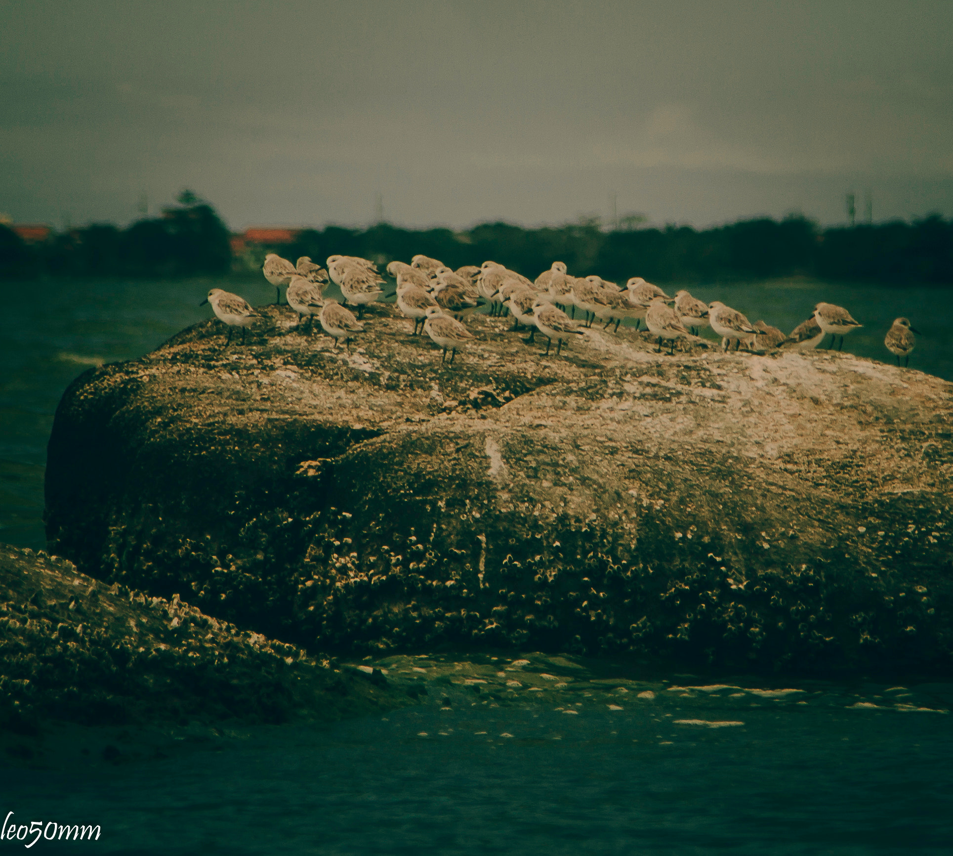 Canon EOS 700D (EOS Rebel T5i / EOS Kiss X7i) sample photo. Img photography