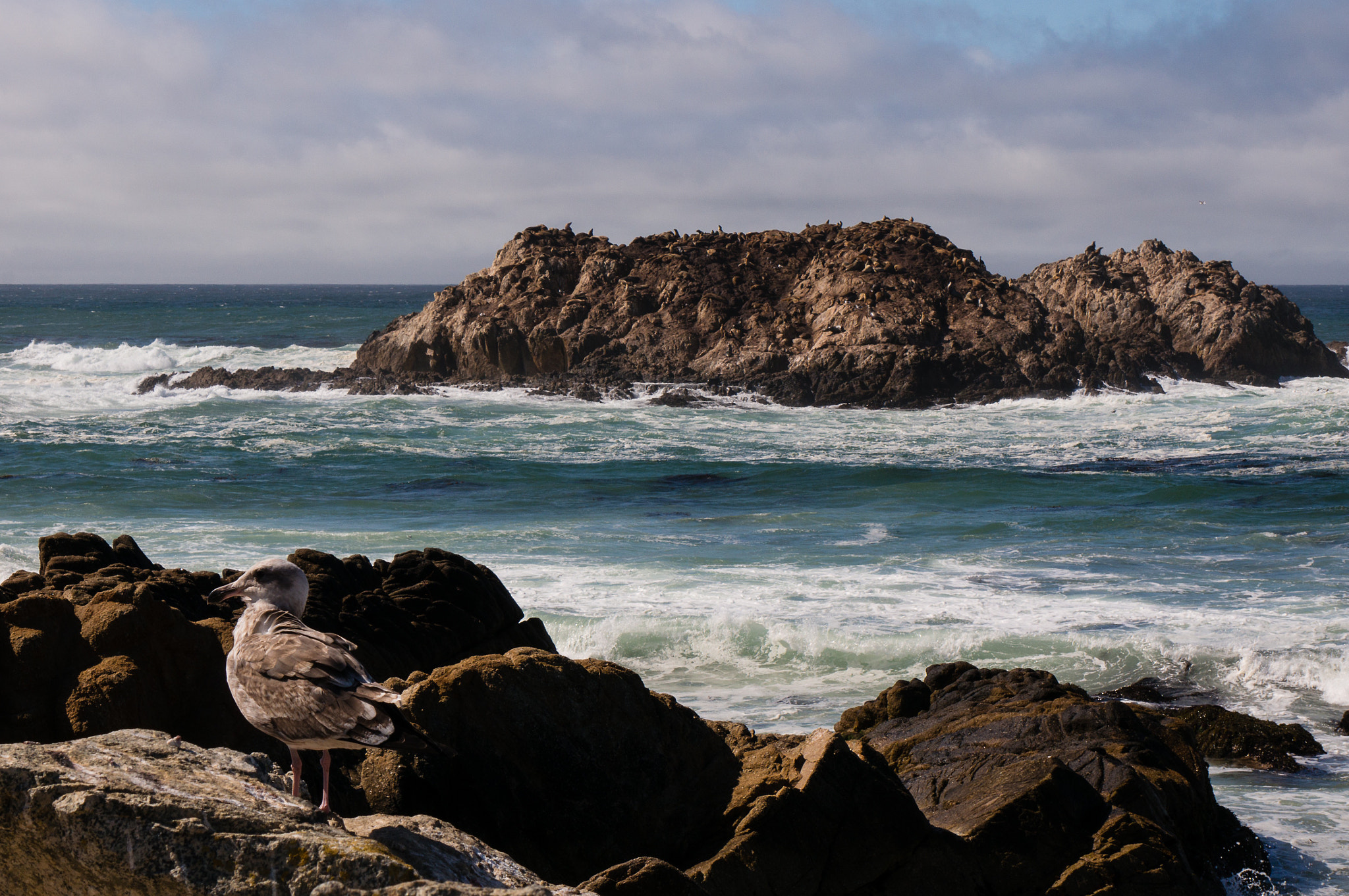 Sony Alpha NEX-6 sample photo. Dsc photography