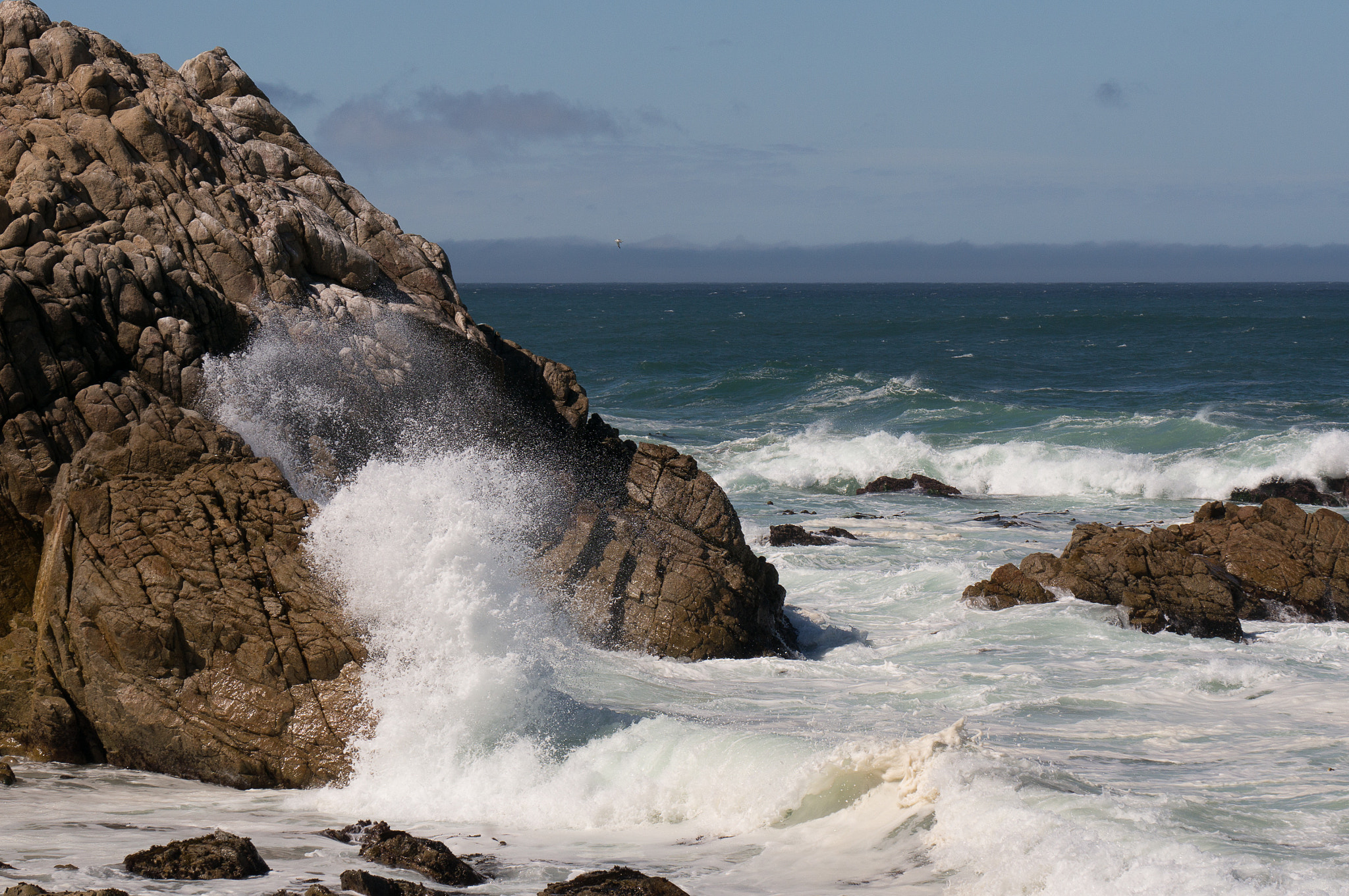 Sony Alpha NEX-6 sample photo. Dsc photography