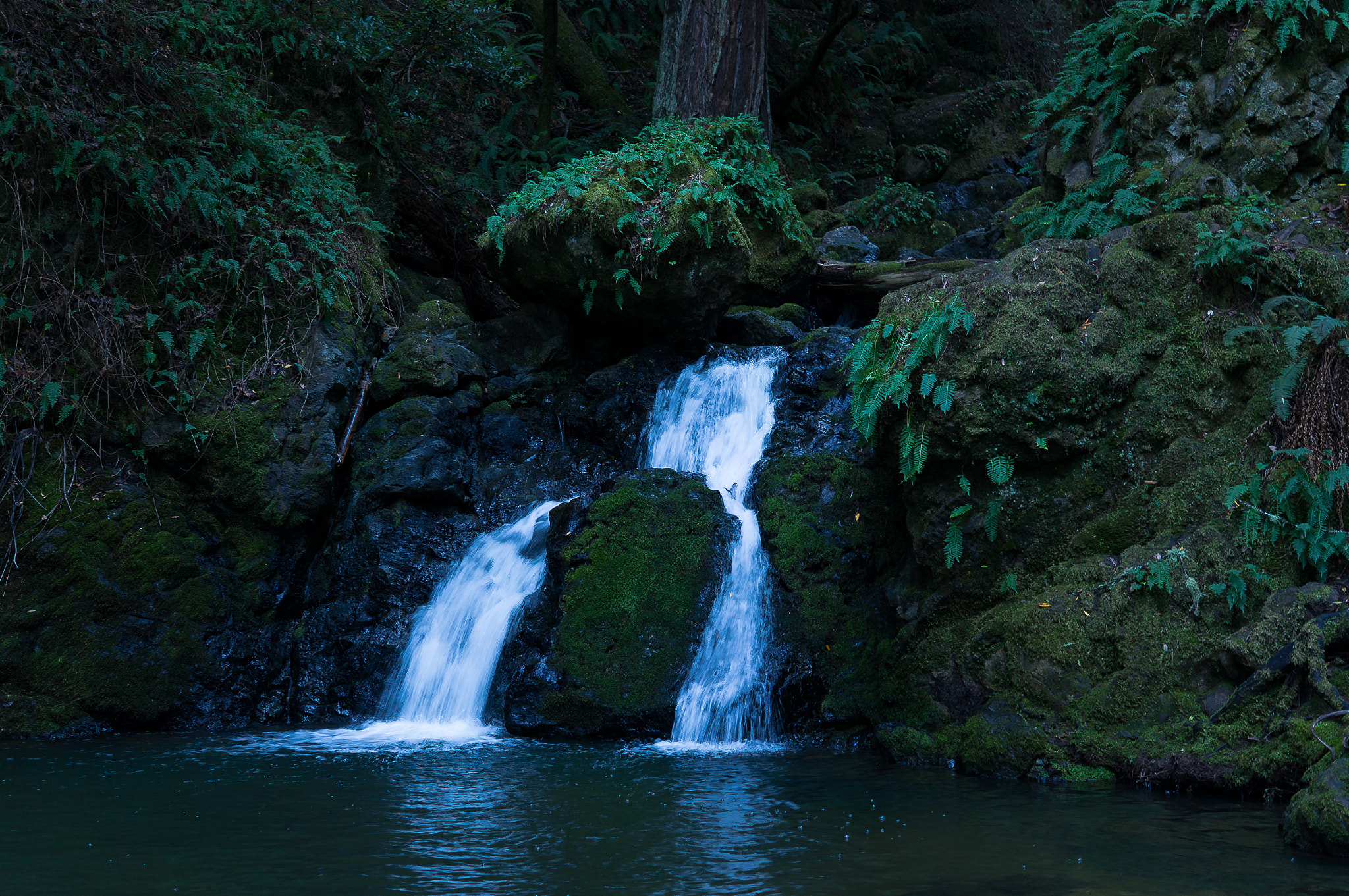 Sony Alpha NEX-6 + Sigma 30mm F2.8 EX DN sample photo. Dsc photography