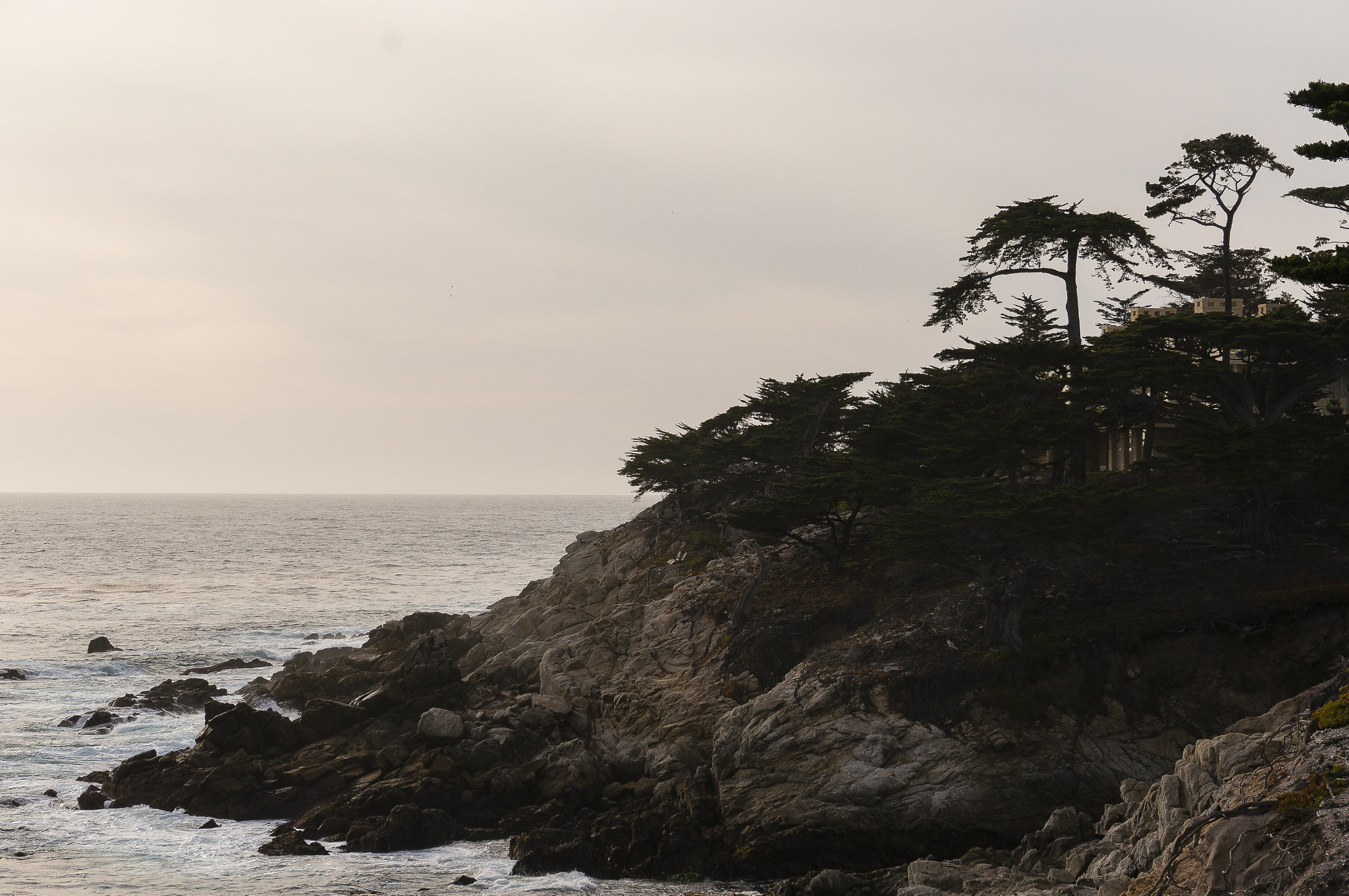 Sony Alpha NEX-6 sample photo. Copy photography