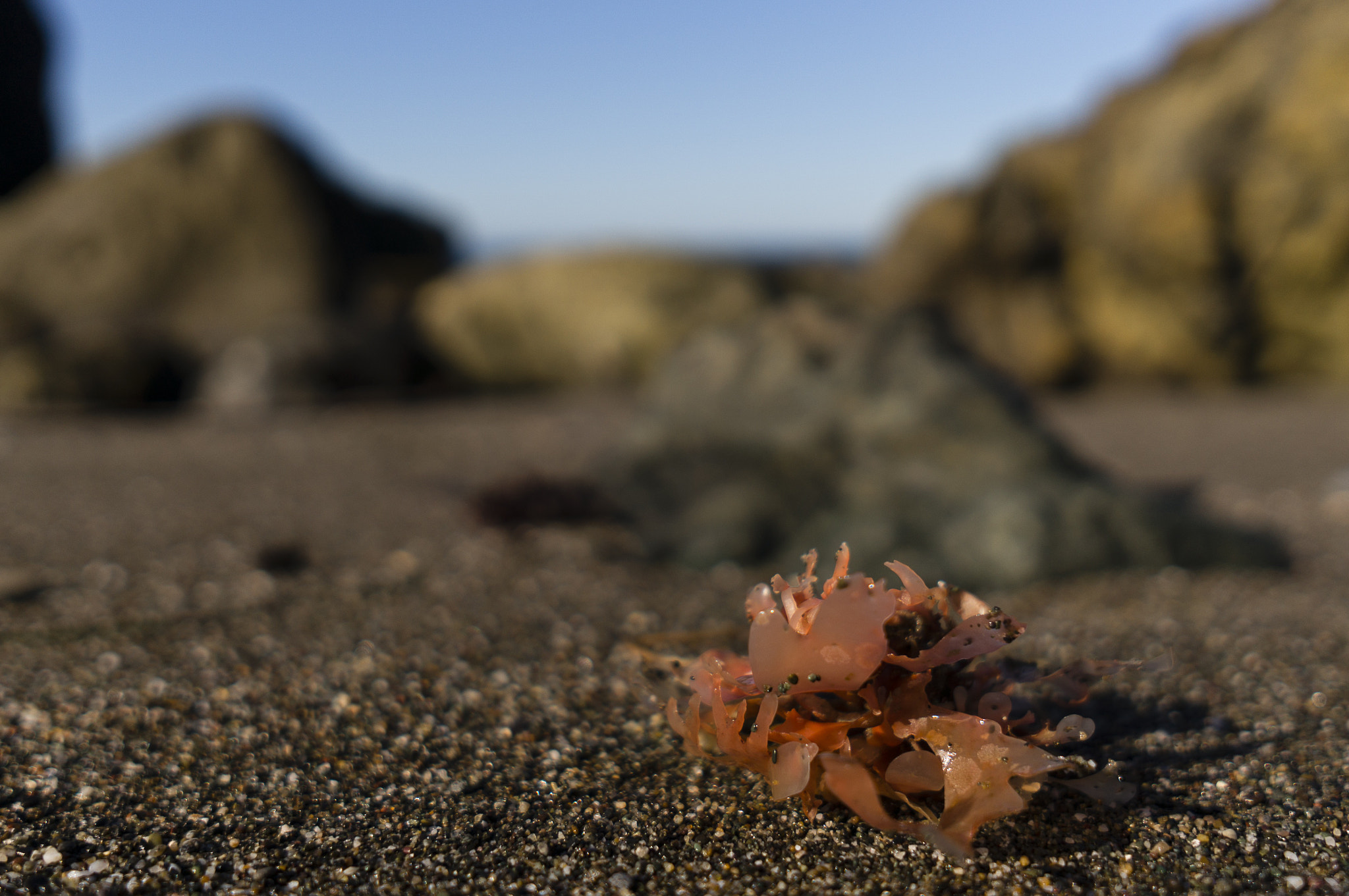 Sony Alpha NEX-6 + Sigma 19mm F2.8 EX DN sample photo. Dsc photography