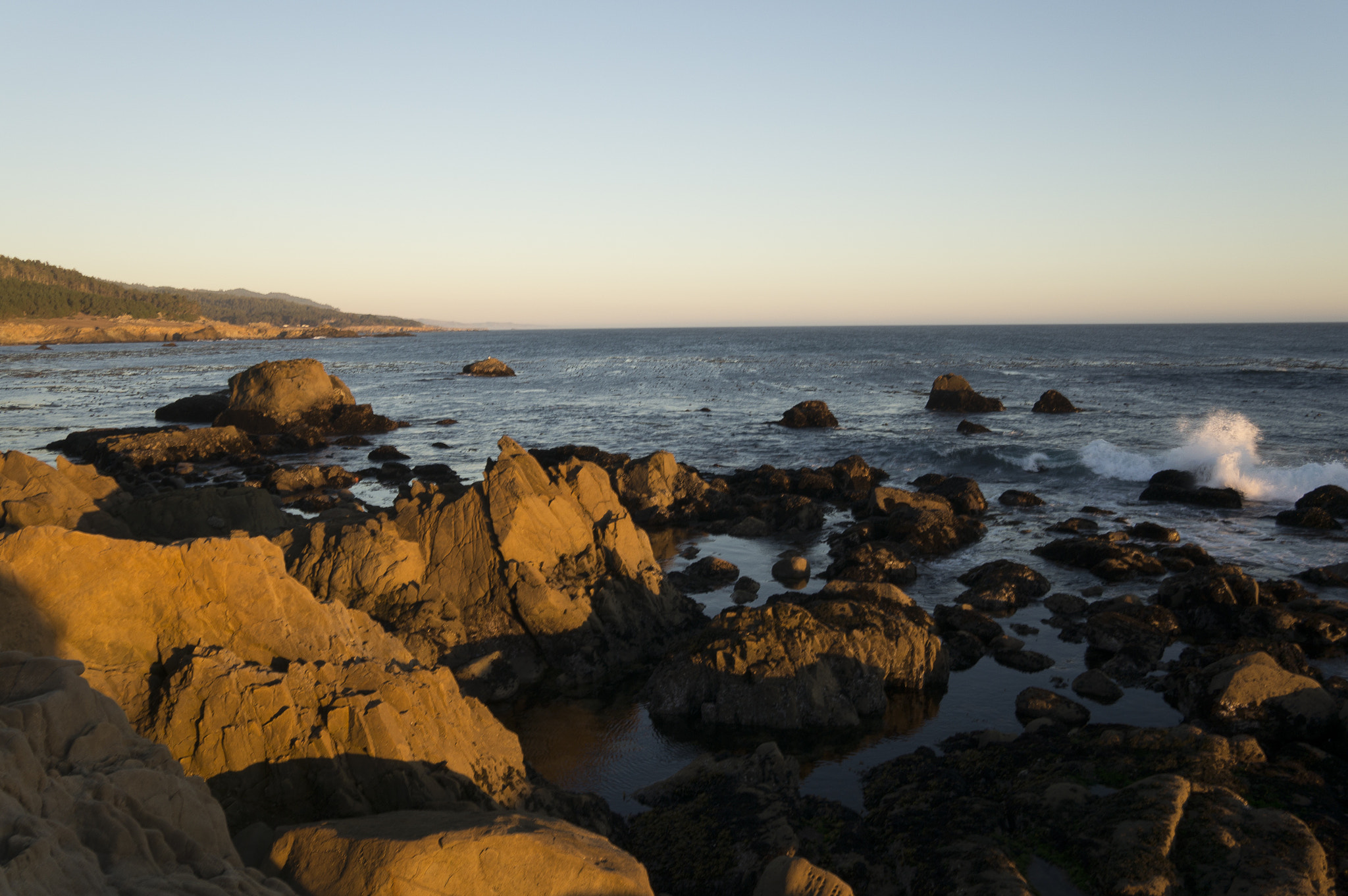 Sigma 19mm F2.8 EX DN sample photo. Dsc photography