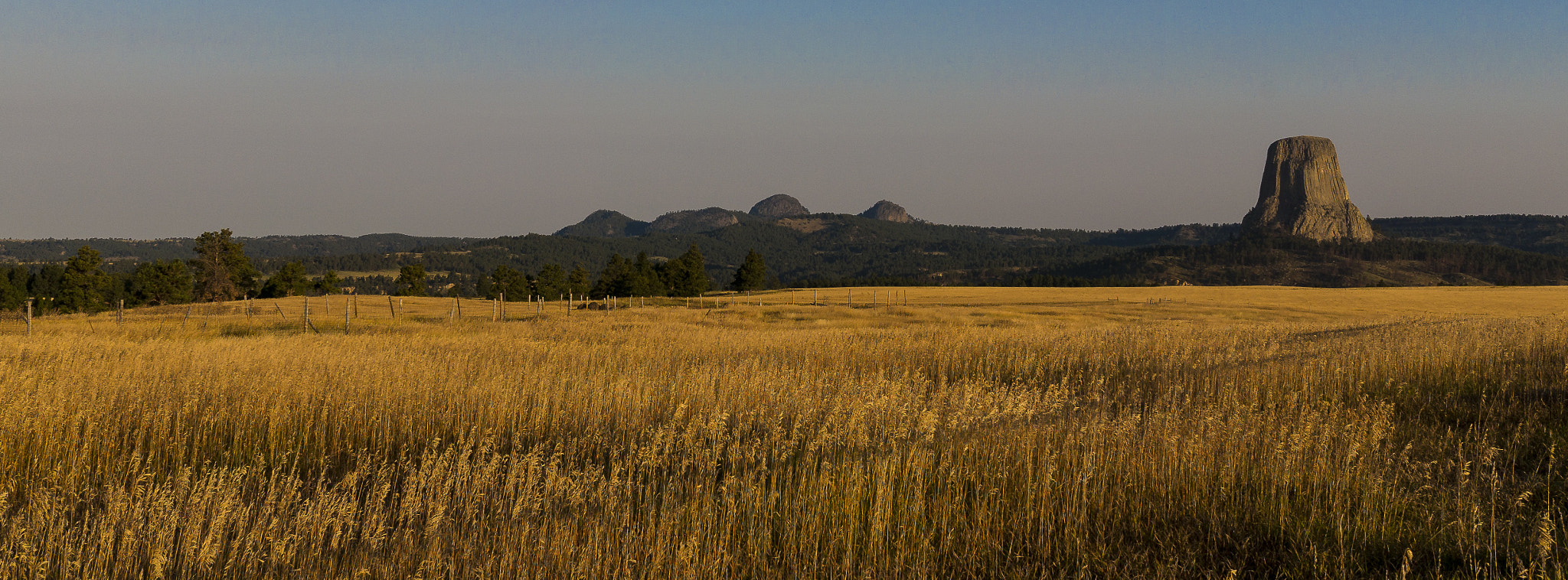 Sigma 30mm F2.8 EX DN sample photo. Banner devils photography
