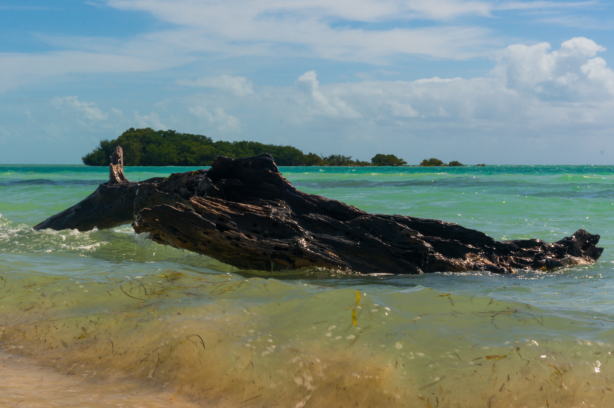 Sony Alpha NEX-6 sample photo. Ocean log photography