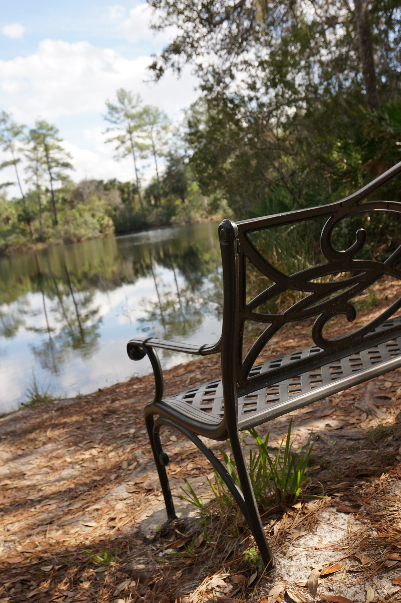 Sony Alpha NEX-6 sample photo. Bench photography